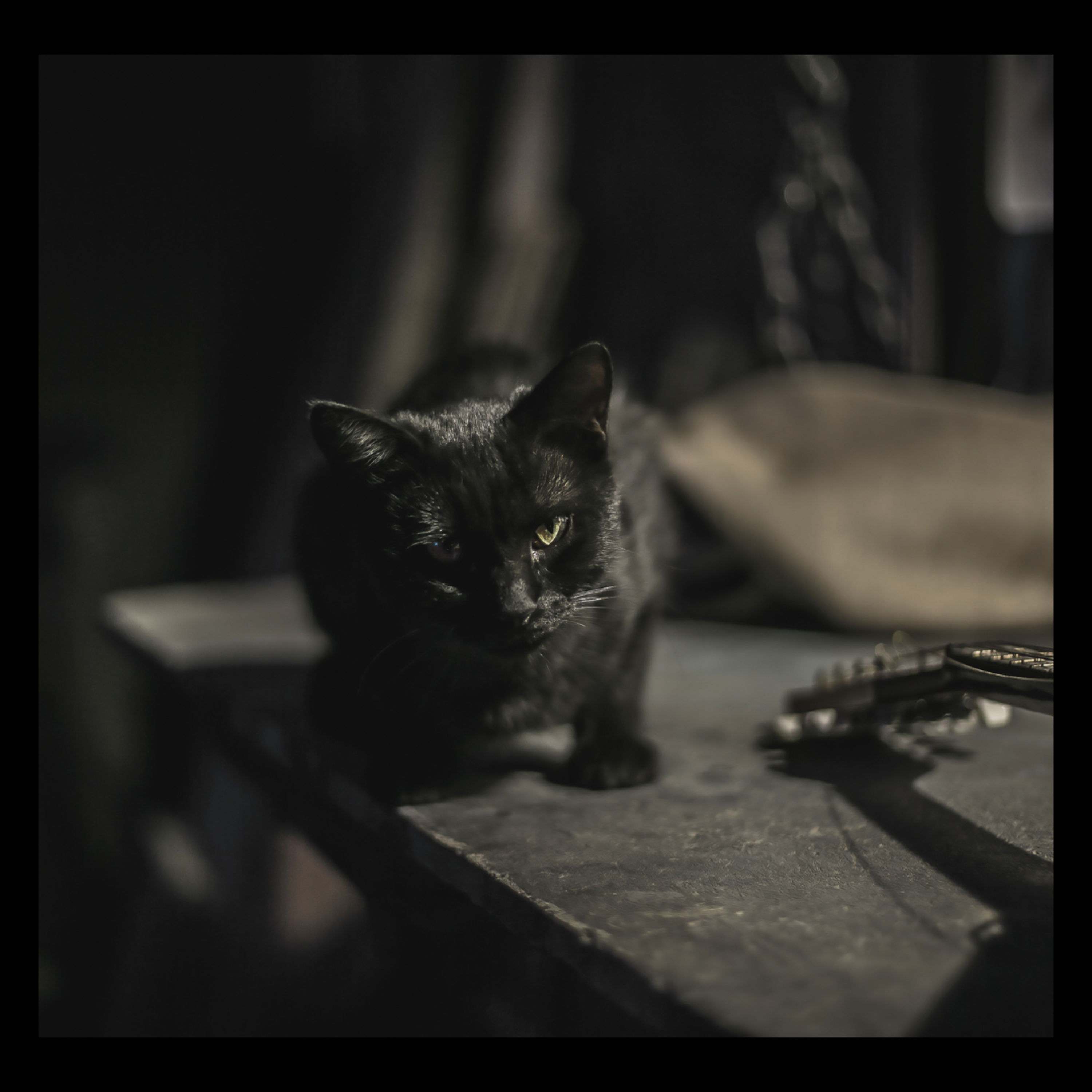 Jack the Ripper: Anatomy of Fear