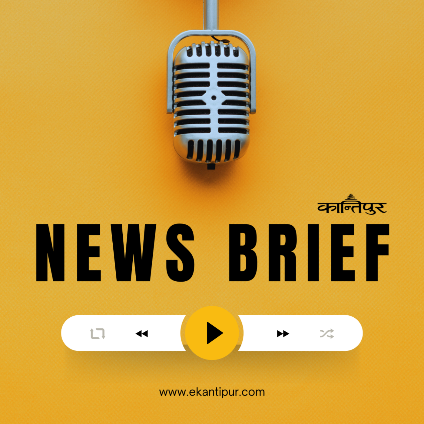 News Brief
