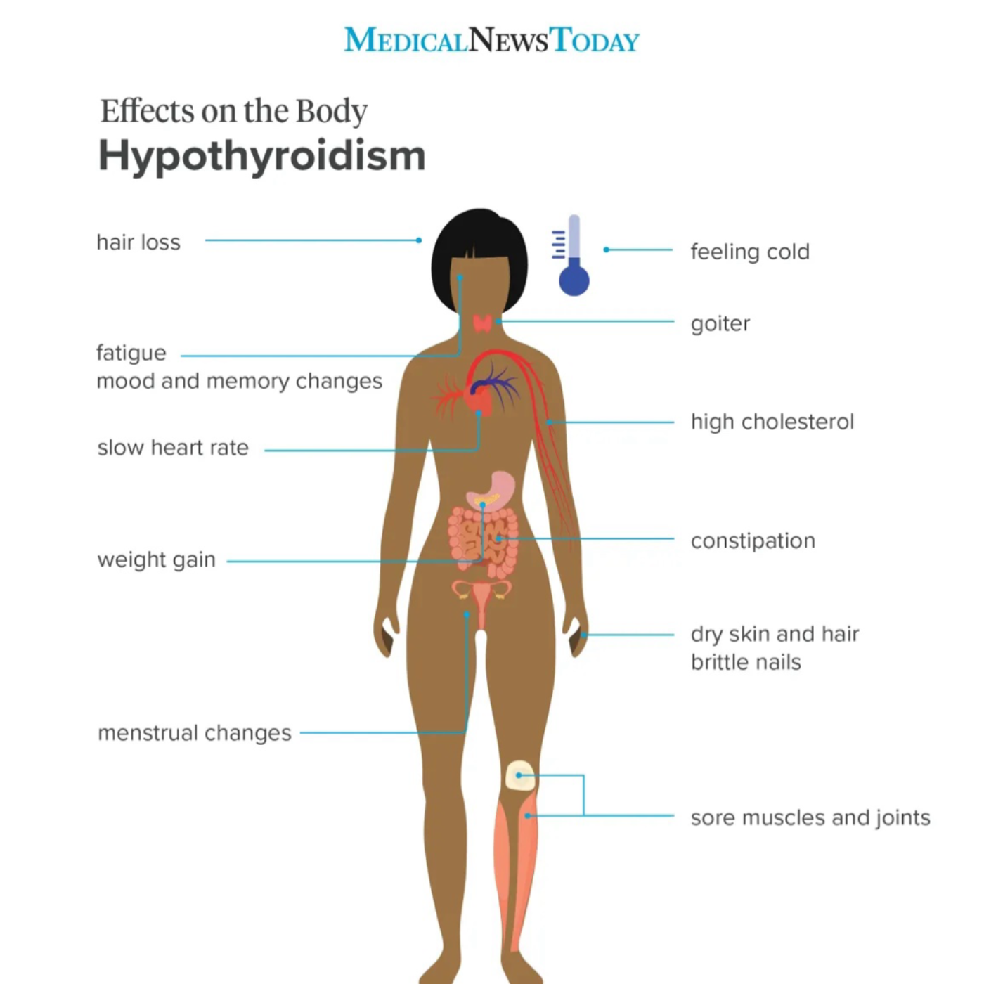 Episode 4: Understanding Low Thyroid: Causes, Symptoms, and Natural Support for Men and Women