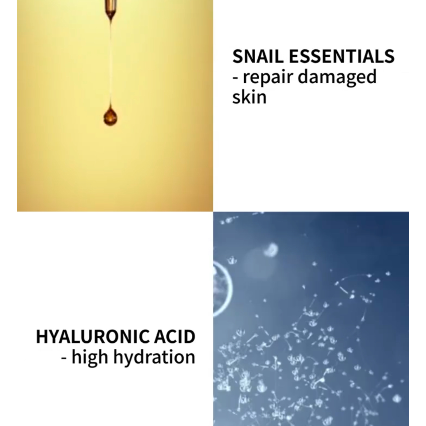 Holistic Beauty: Inside-Out Wellness + The Secrets of Snail Secretion