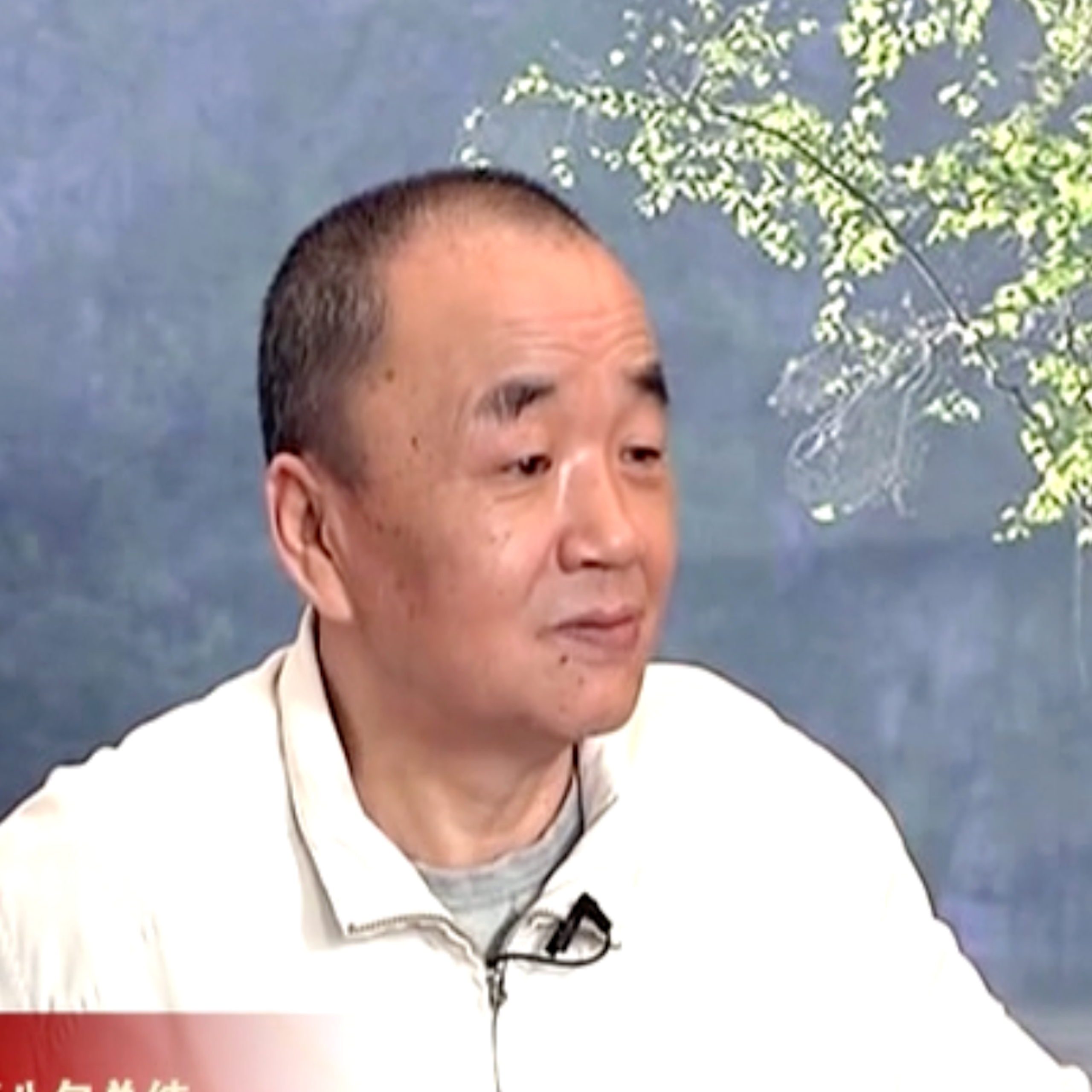 拈花录-心中心法齐老师答疑
