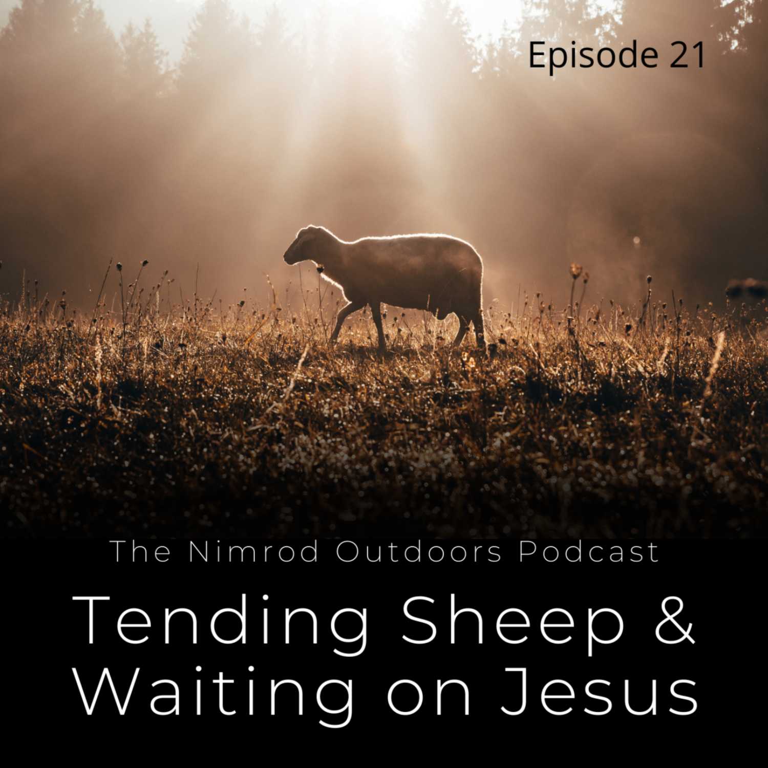 The Nimrod Outdoors Podcast