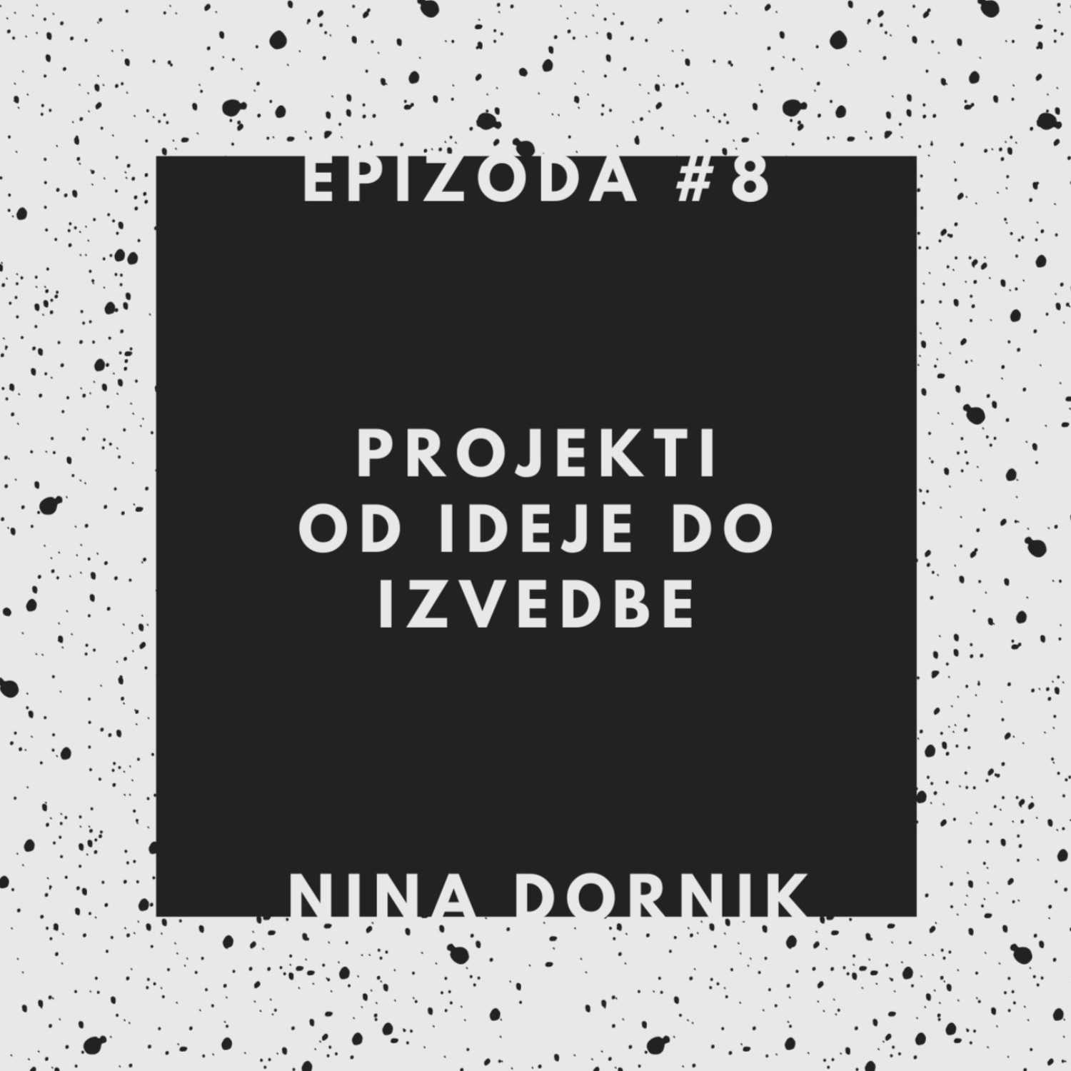 8. OD IDEJE DO IZVEDBE | kako se lotiva projektov in jih uspešno pripeljeva do konca