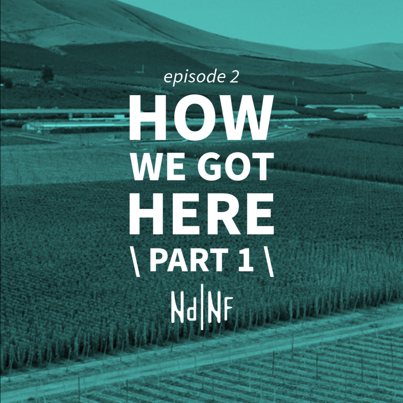 No Dirt No Flowers Podcast