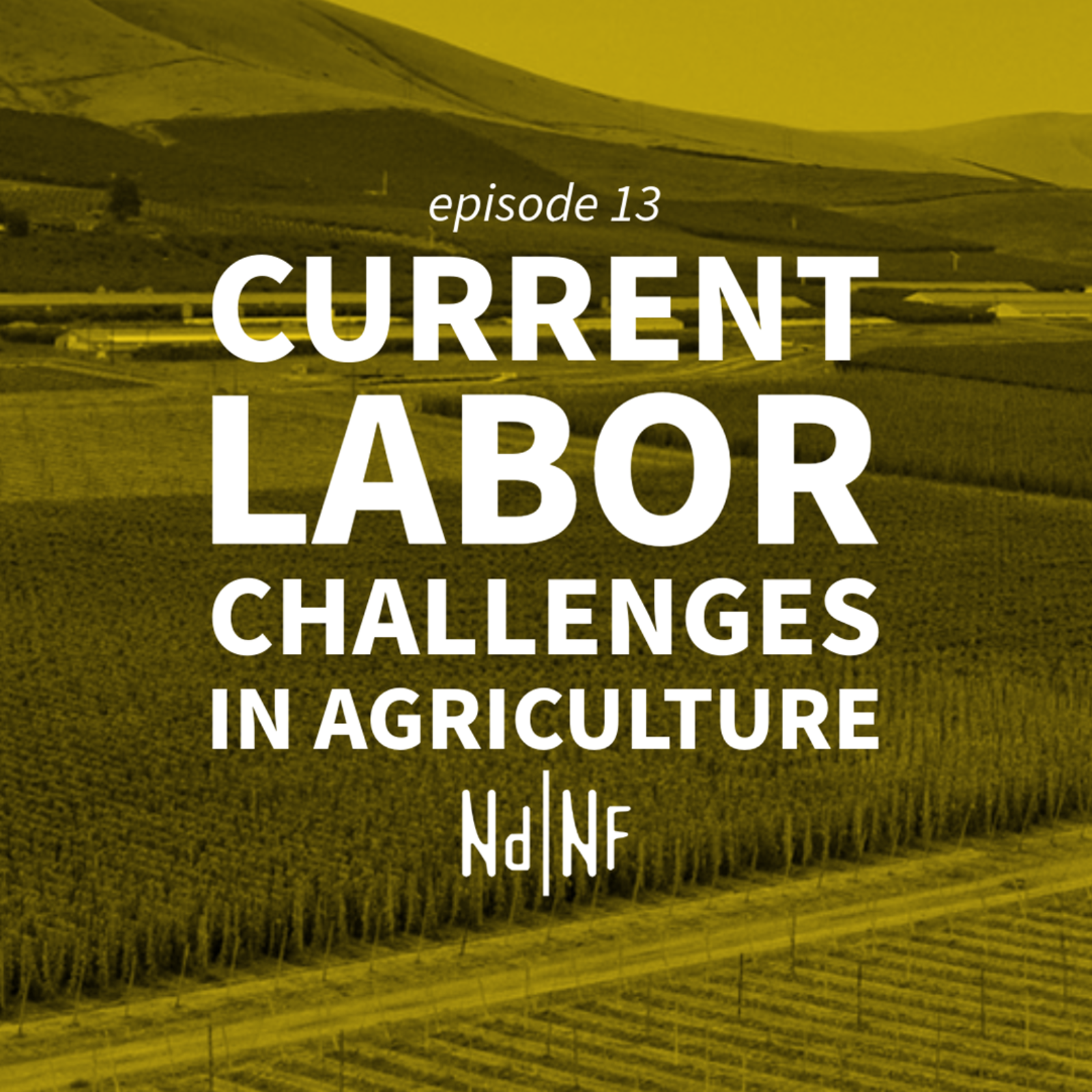 No Dirt No Flowers Podcast