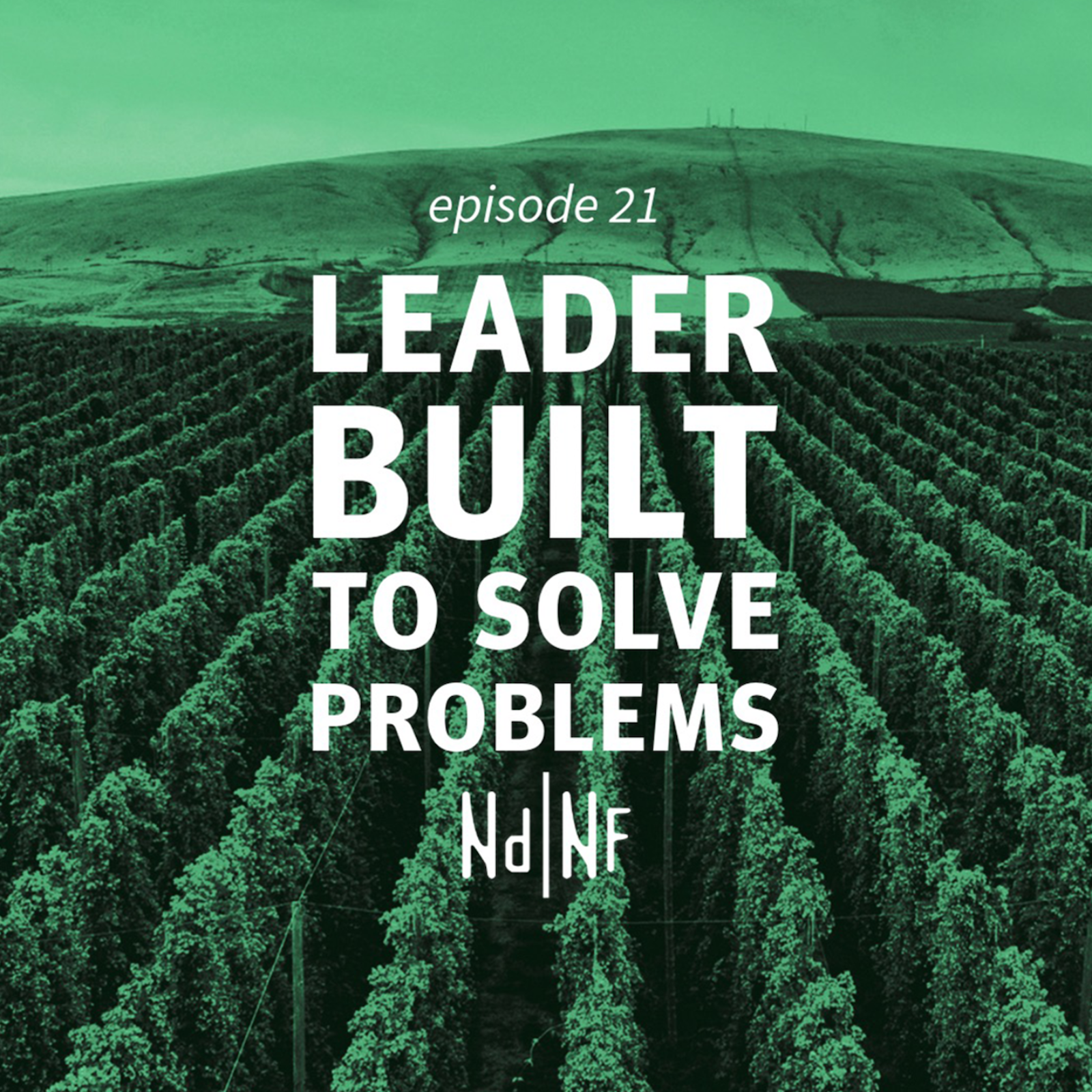 Leader Built to Solve Problems / Ft. Scott Haney