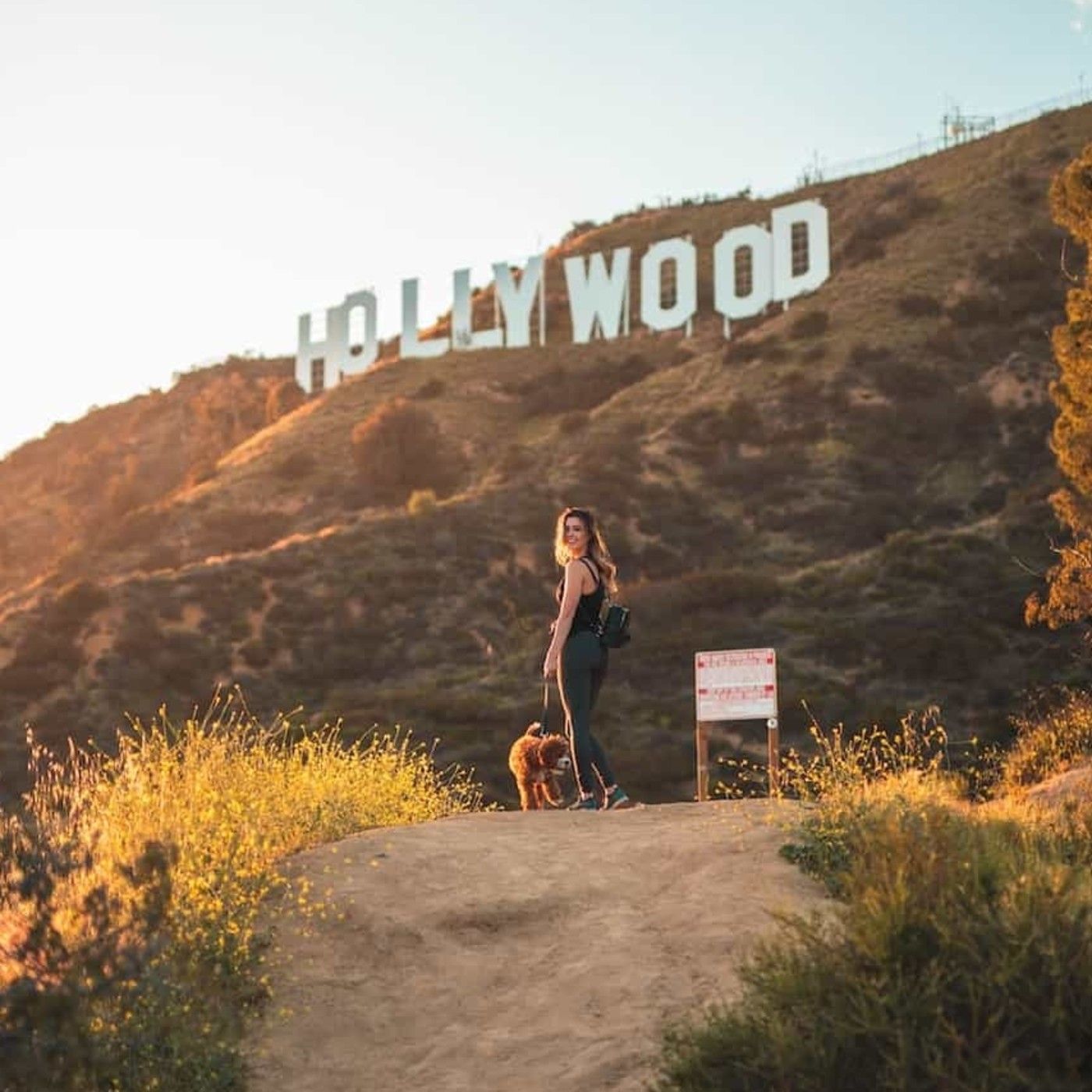 Franquicias de Hollywood