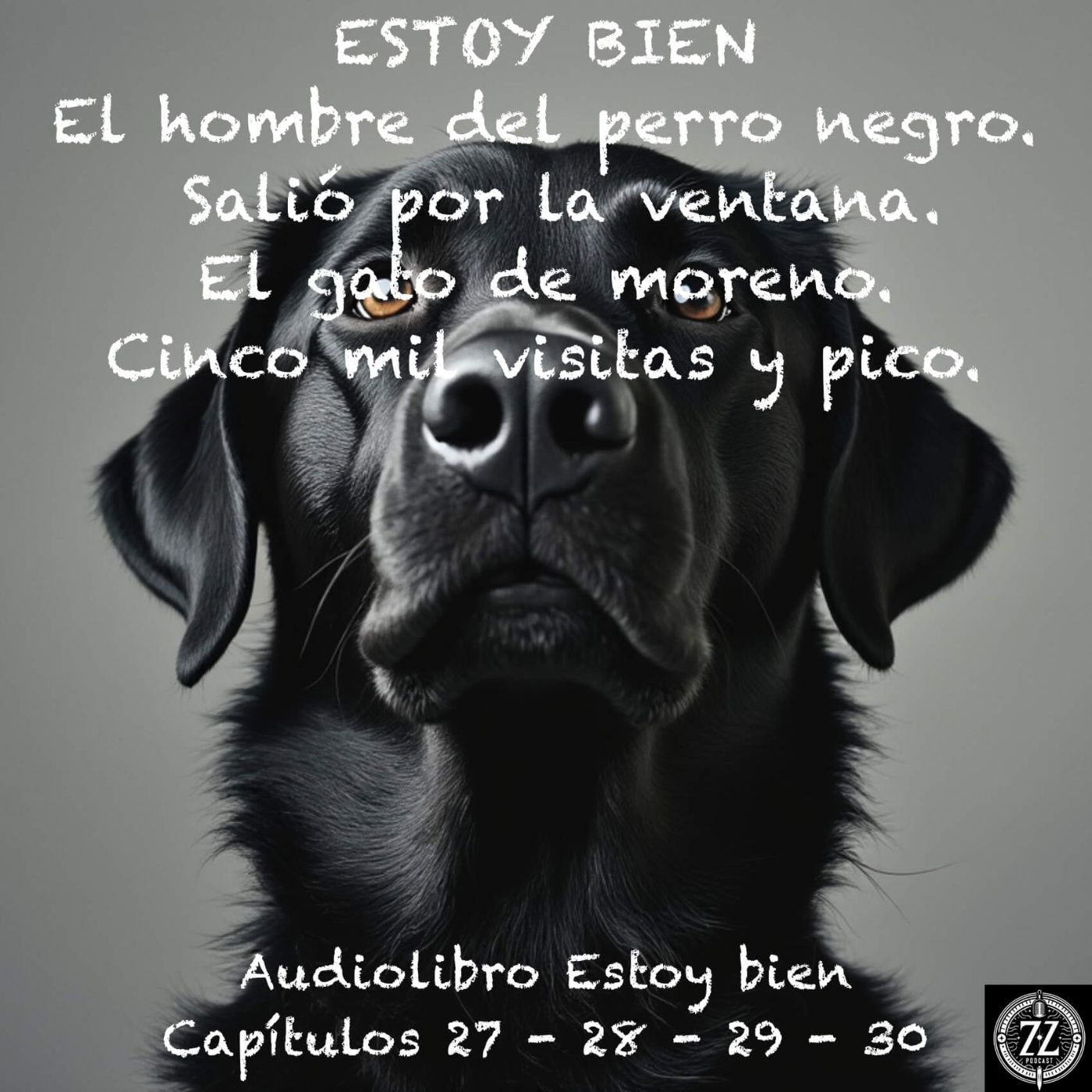 Estoy bien - Capítulos 27 - 28 - 29 - 30 - Audiolibro en Español - Voz real episode artwork