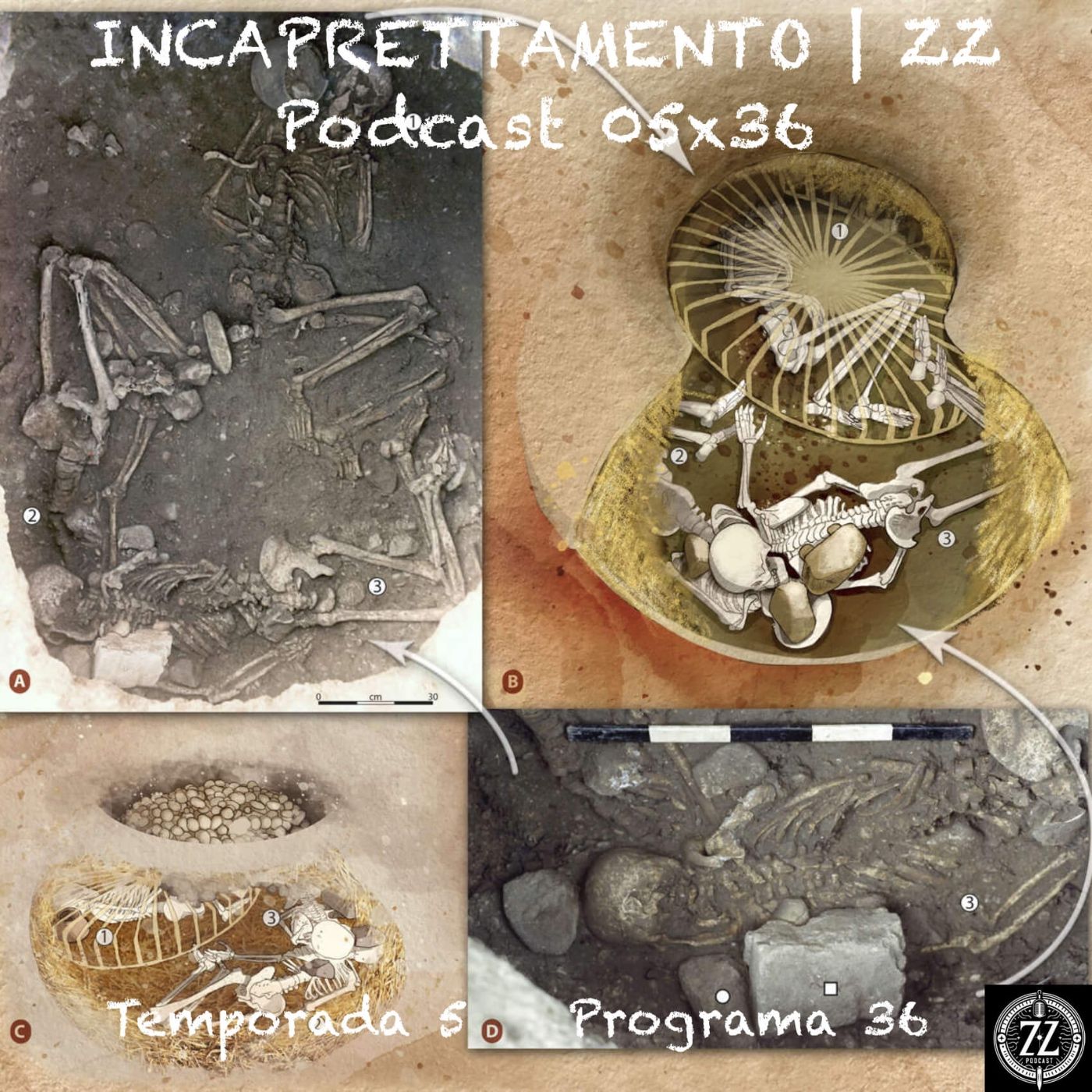 Incaprettamento episode artwork