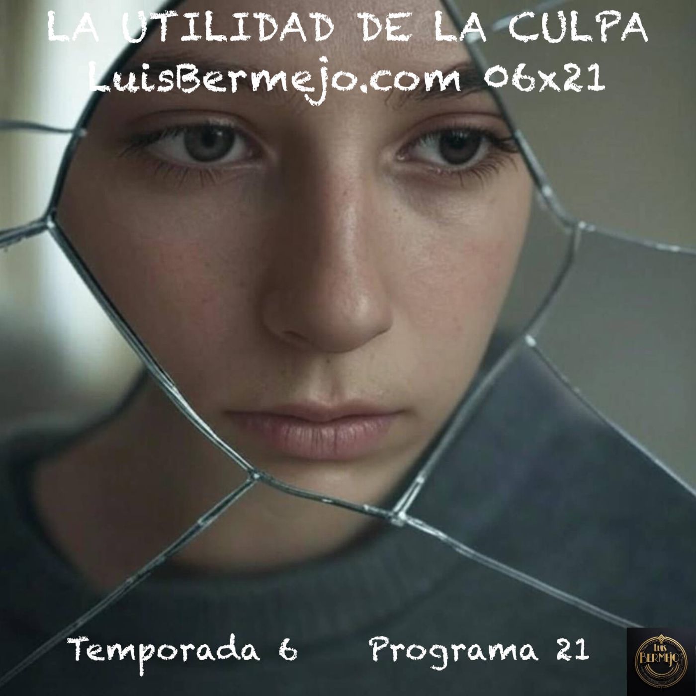 La utilidad de la culpa episode artwork