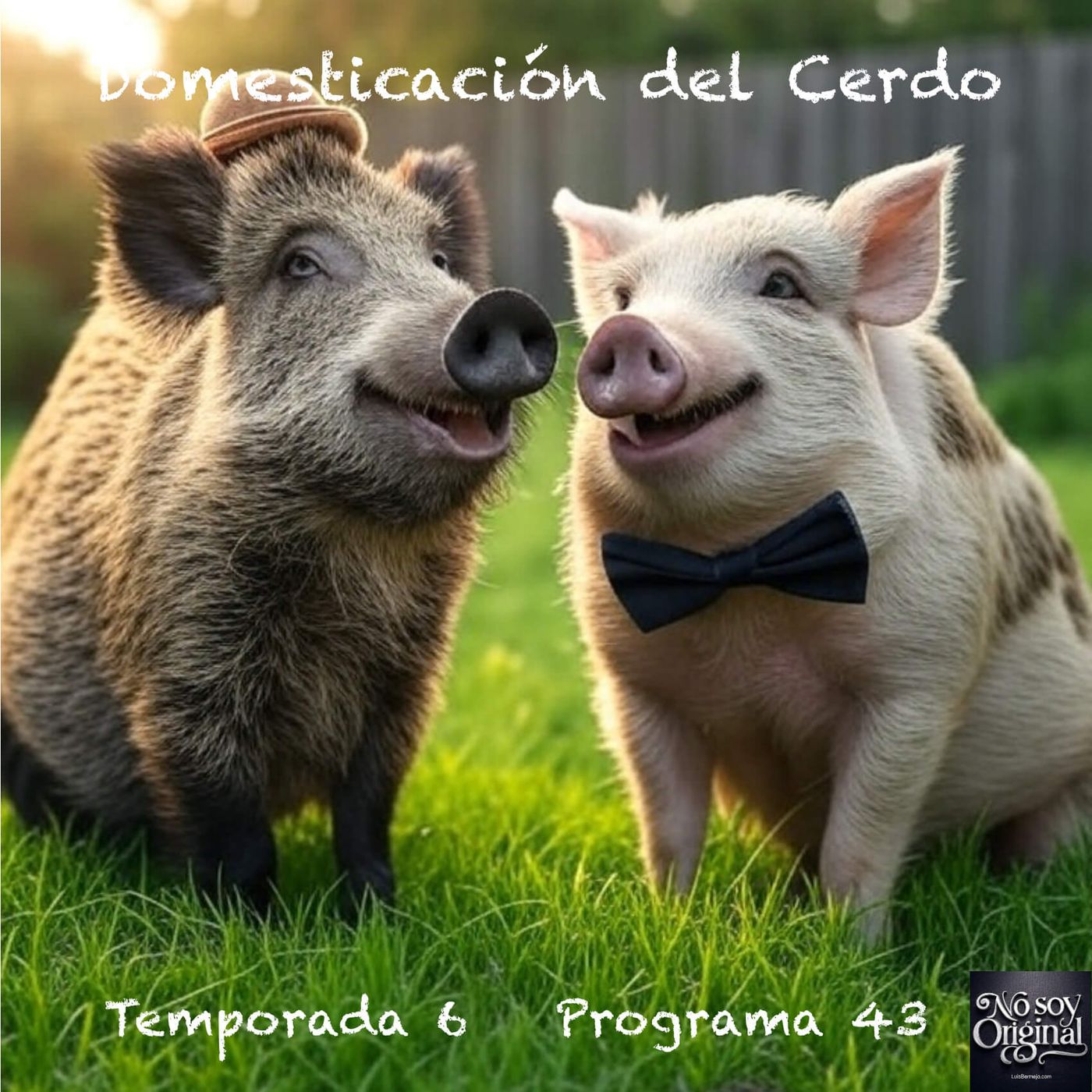 Domesticación del Cerdo episode artwork
