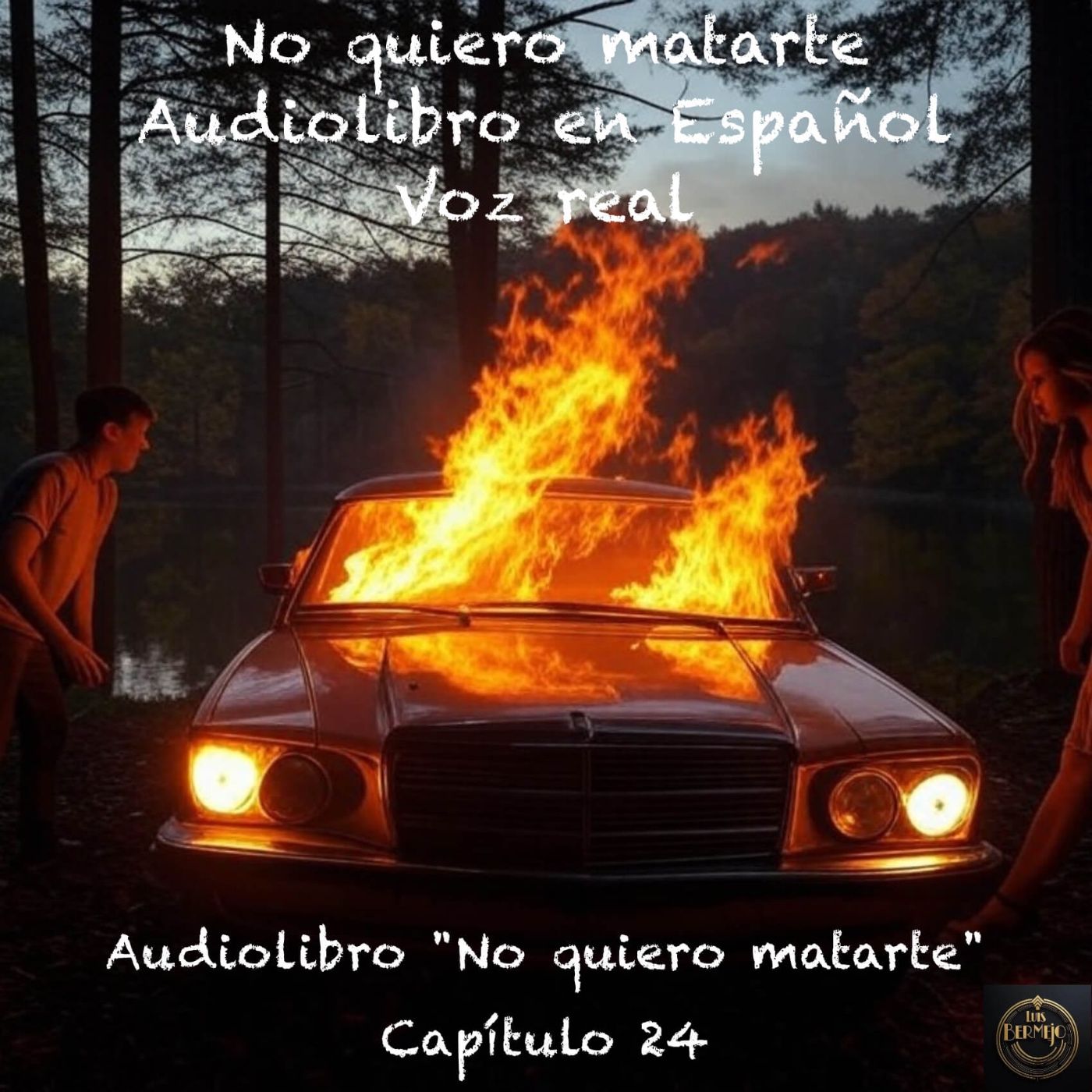 No quiero matarte – Capítulo 24 - Audiolibro en Español - Voz real episode artwork
