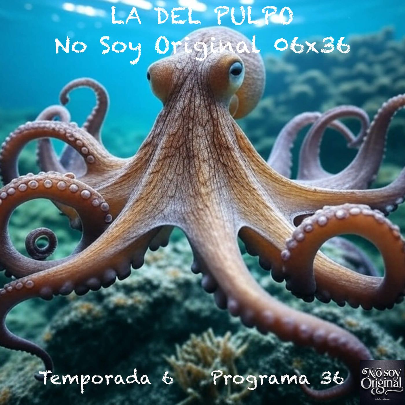 La del pulpo episode artwork