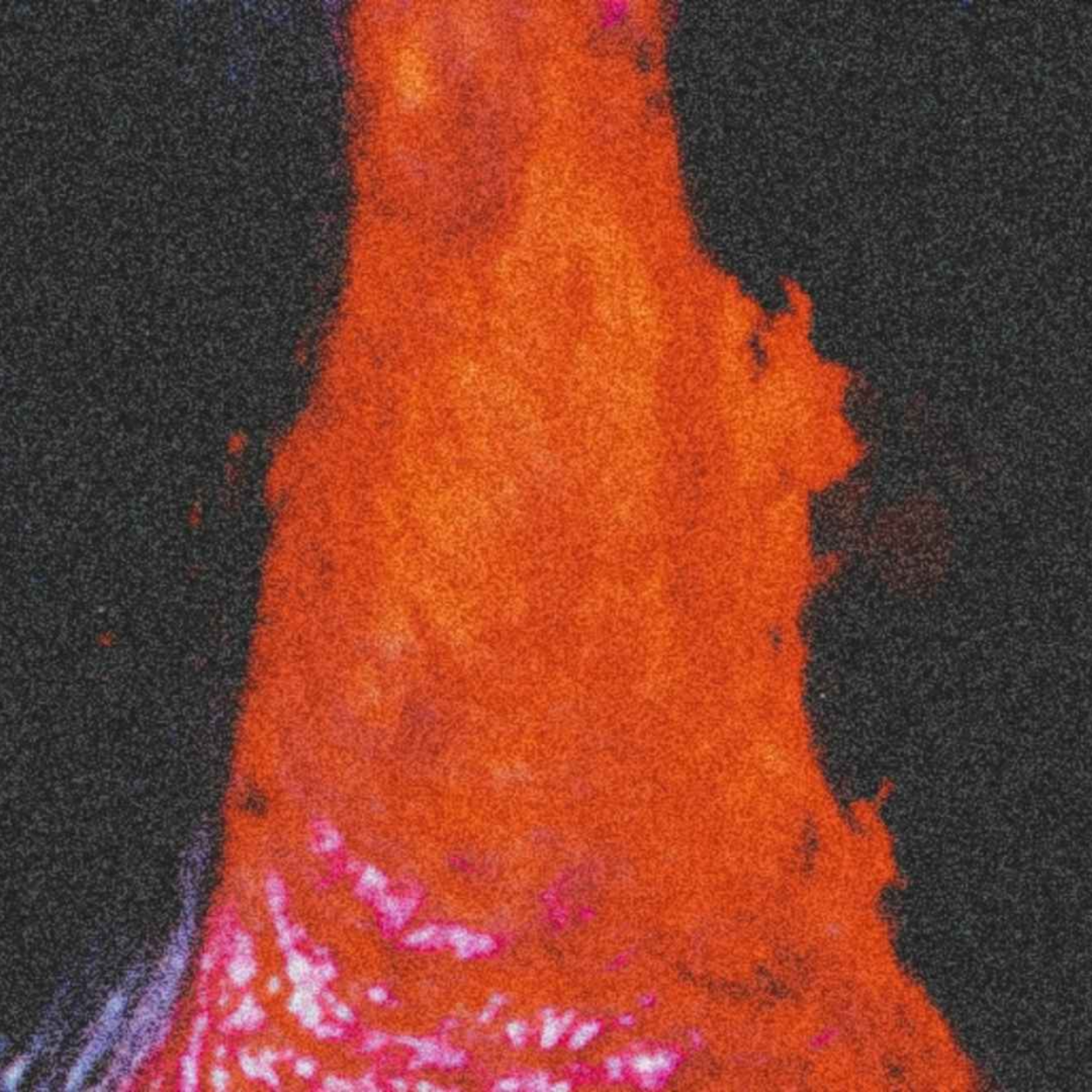 Ties, Tithes, and Tides Chapter 2: Eruptions Are An Inside Job  episode artwork