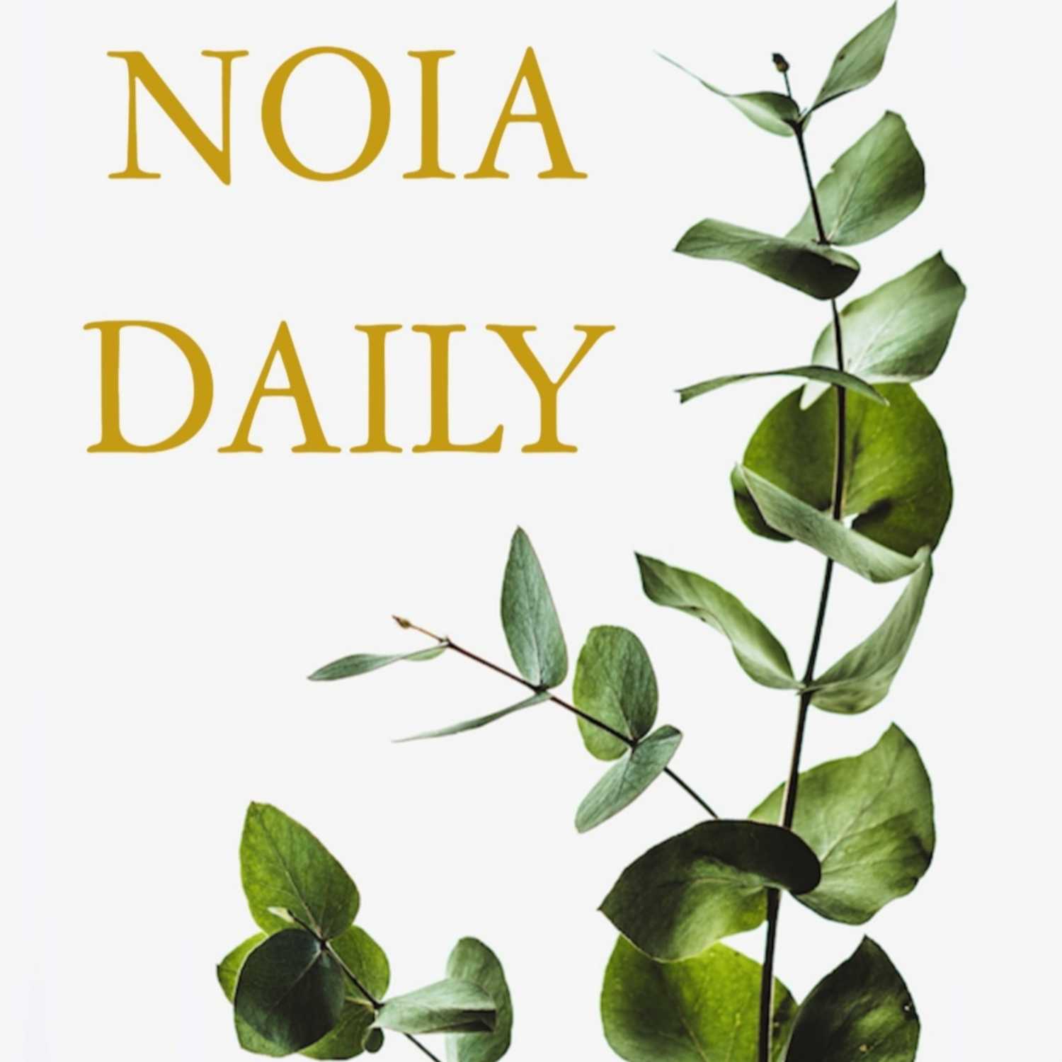 Noia Daily