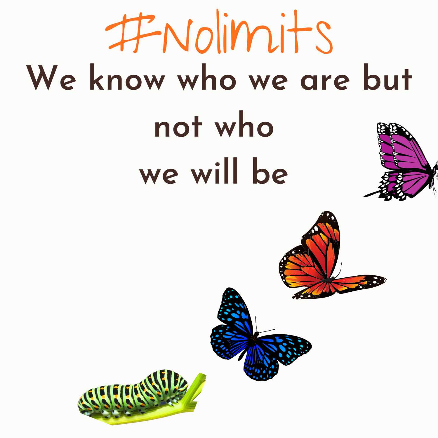 #NoLimits with Shelley Kenow