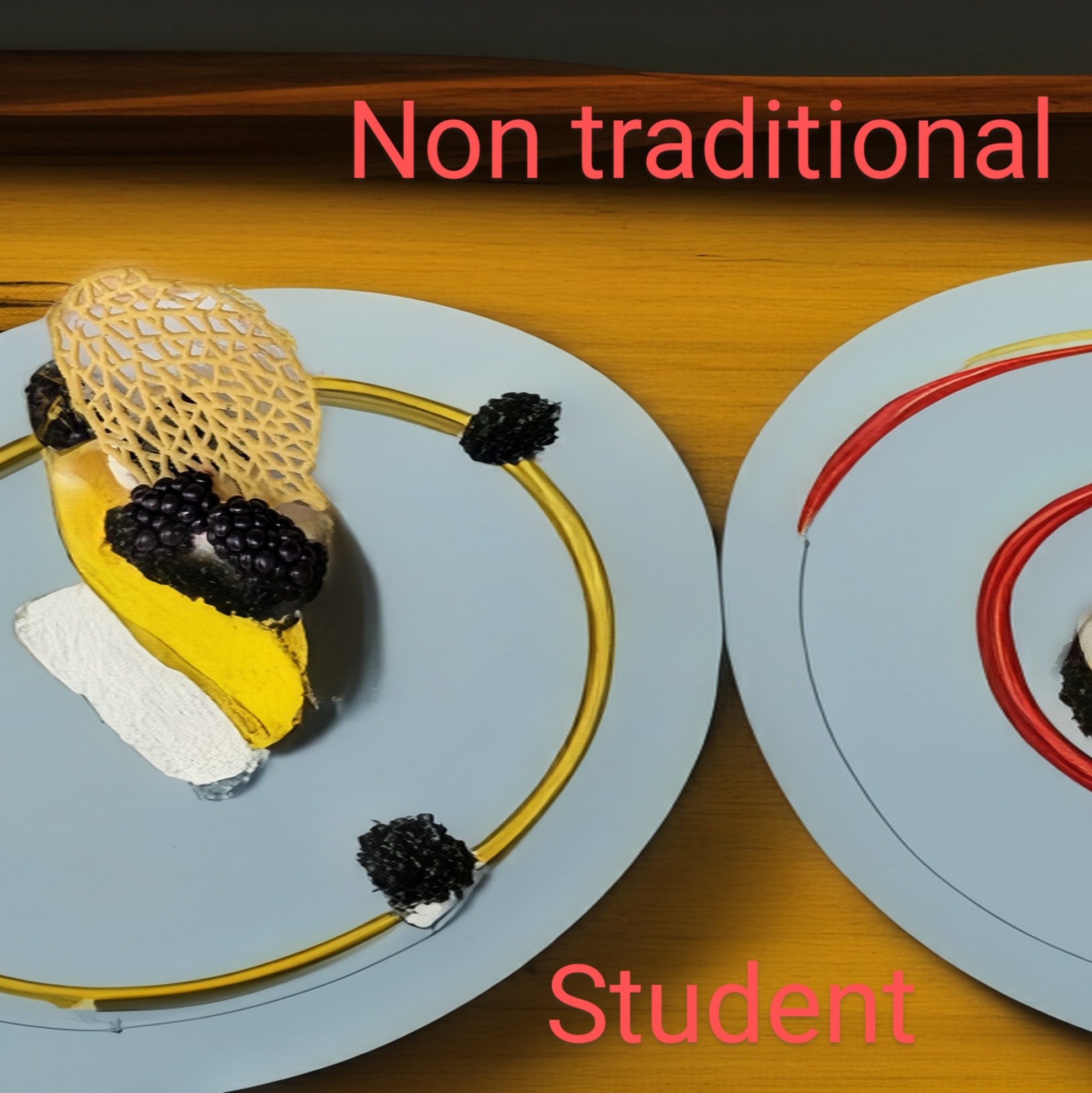 Non Traditional student