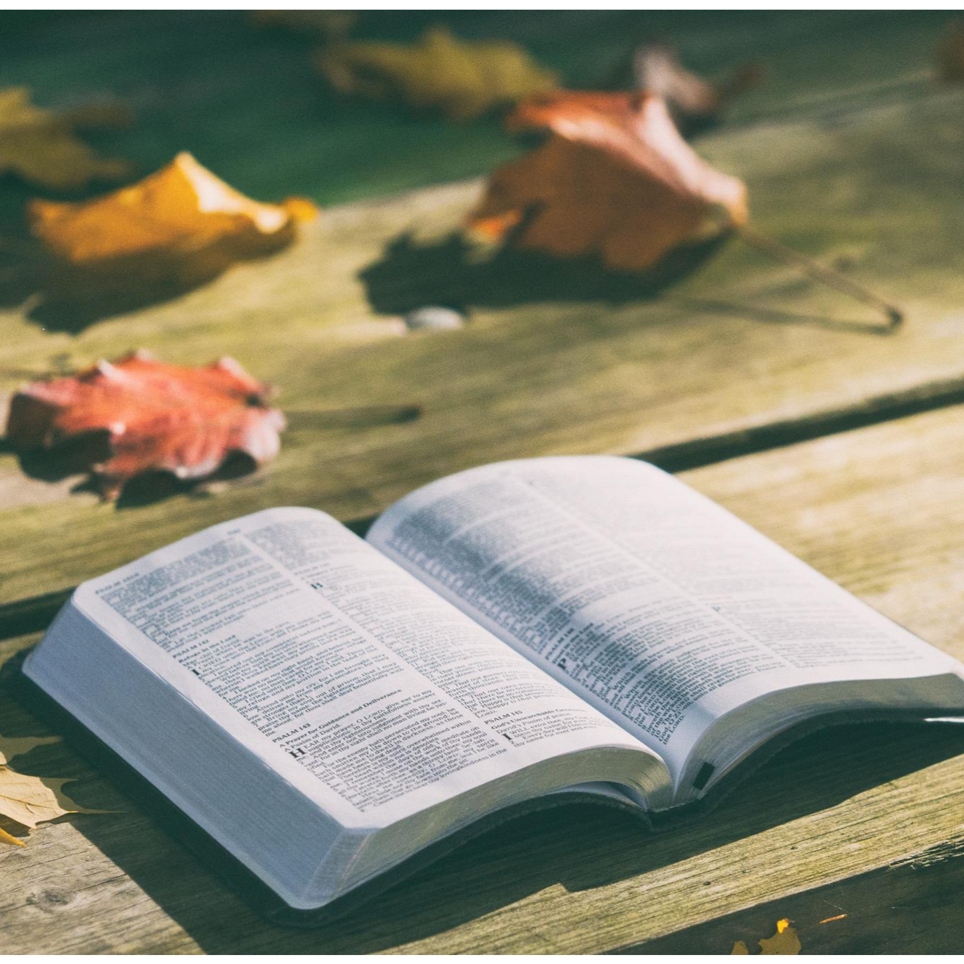 1 Corinthians 15:1-4 | New Year Old Message episode artwork