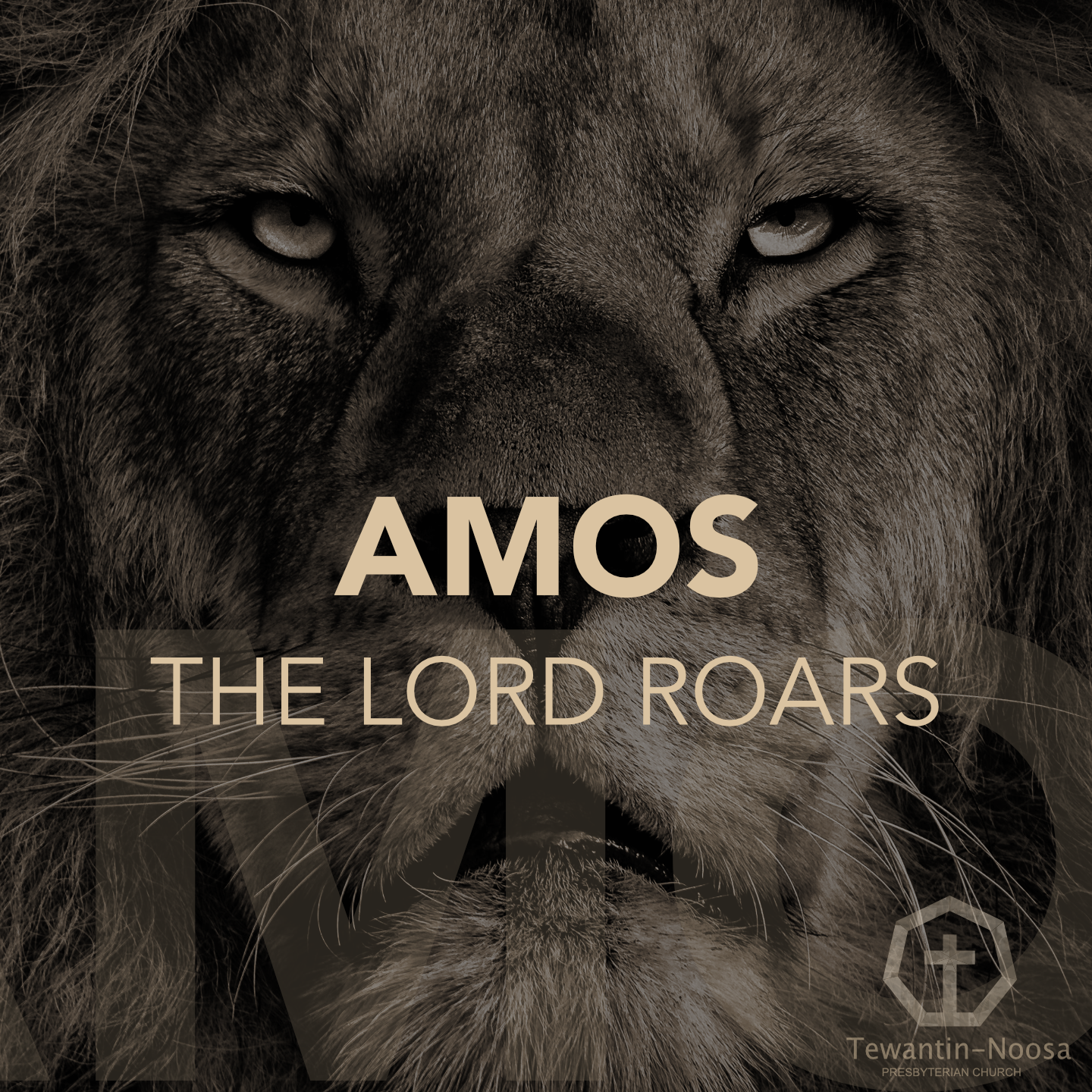 Amos 7 | The Discriminating Judge episode artwork