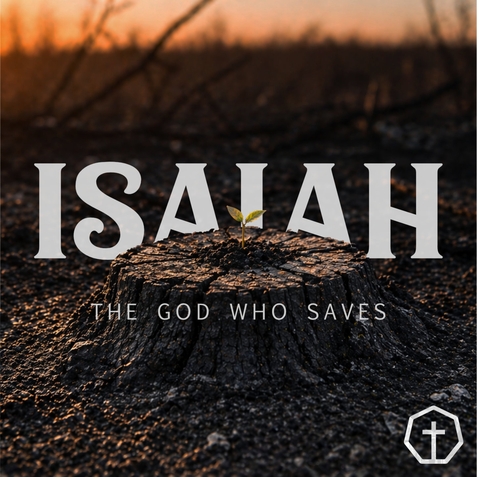 Isaiah 38-42 | Here is Your God episode artwork