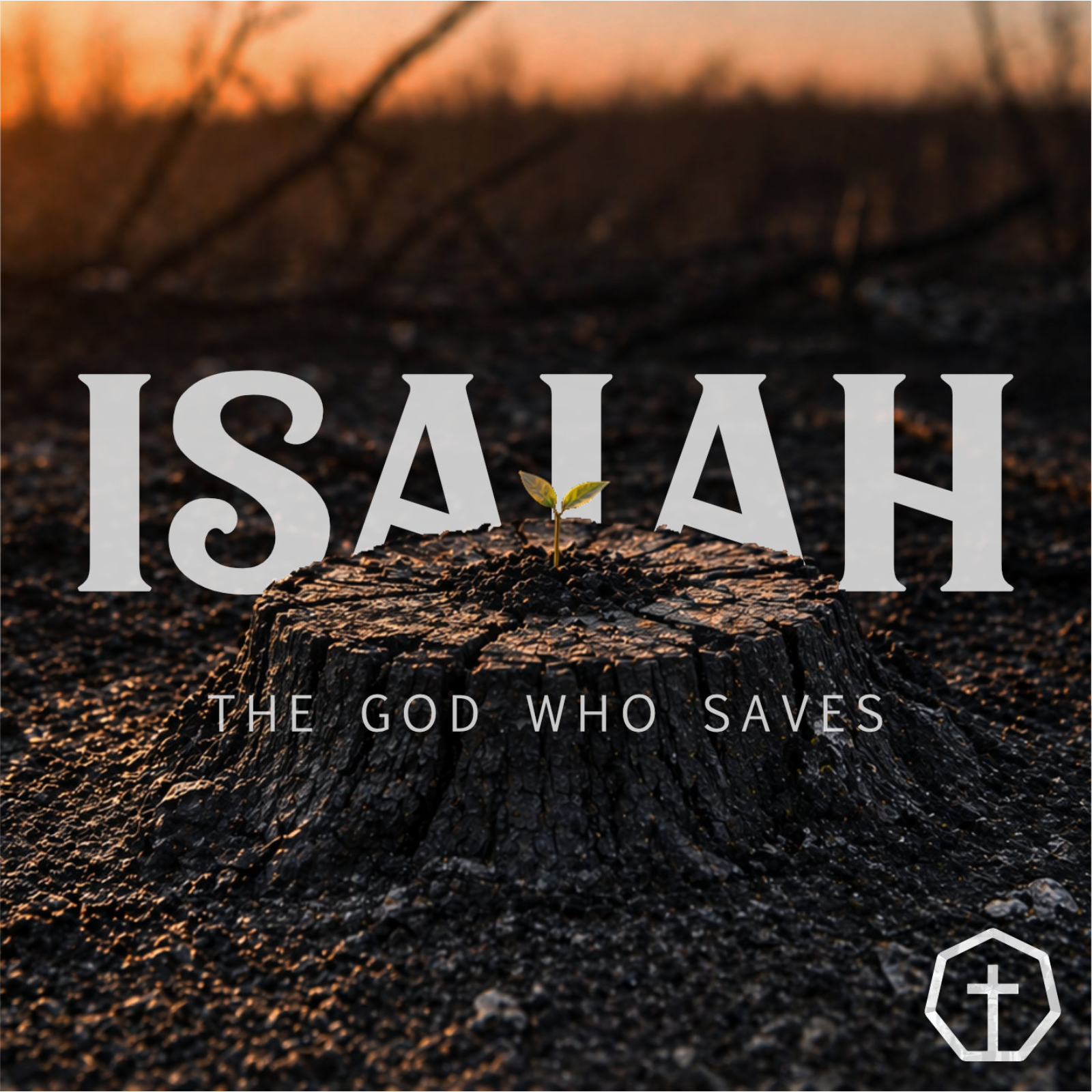 Isaiah 49:1 - 32:12 | God’s new, true servant “Israel” episode artwork