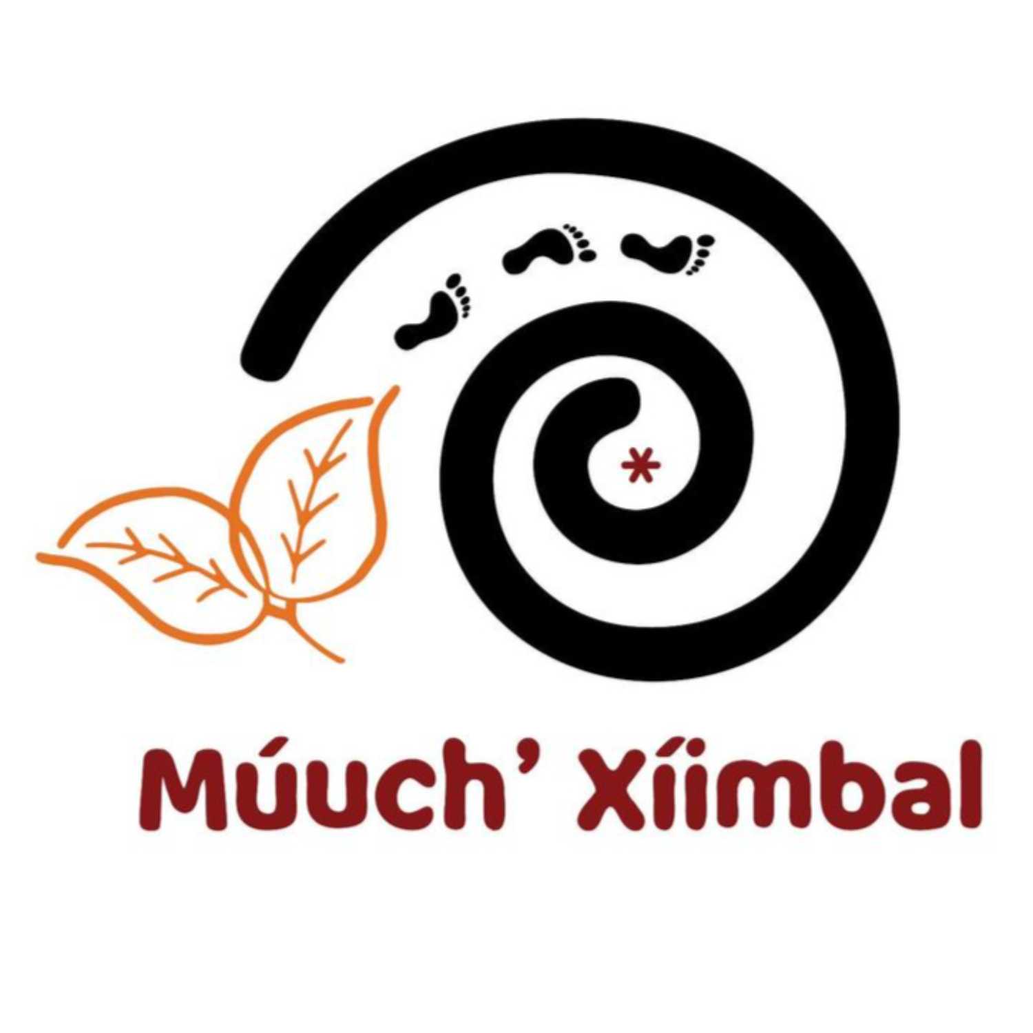 La No Radio Múuch\' Xíinbal