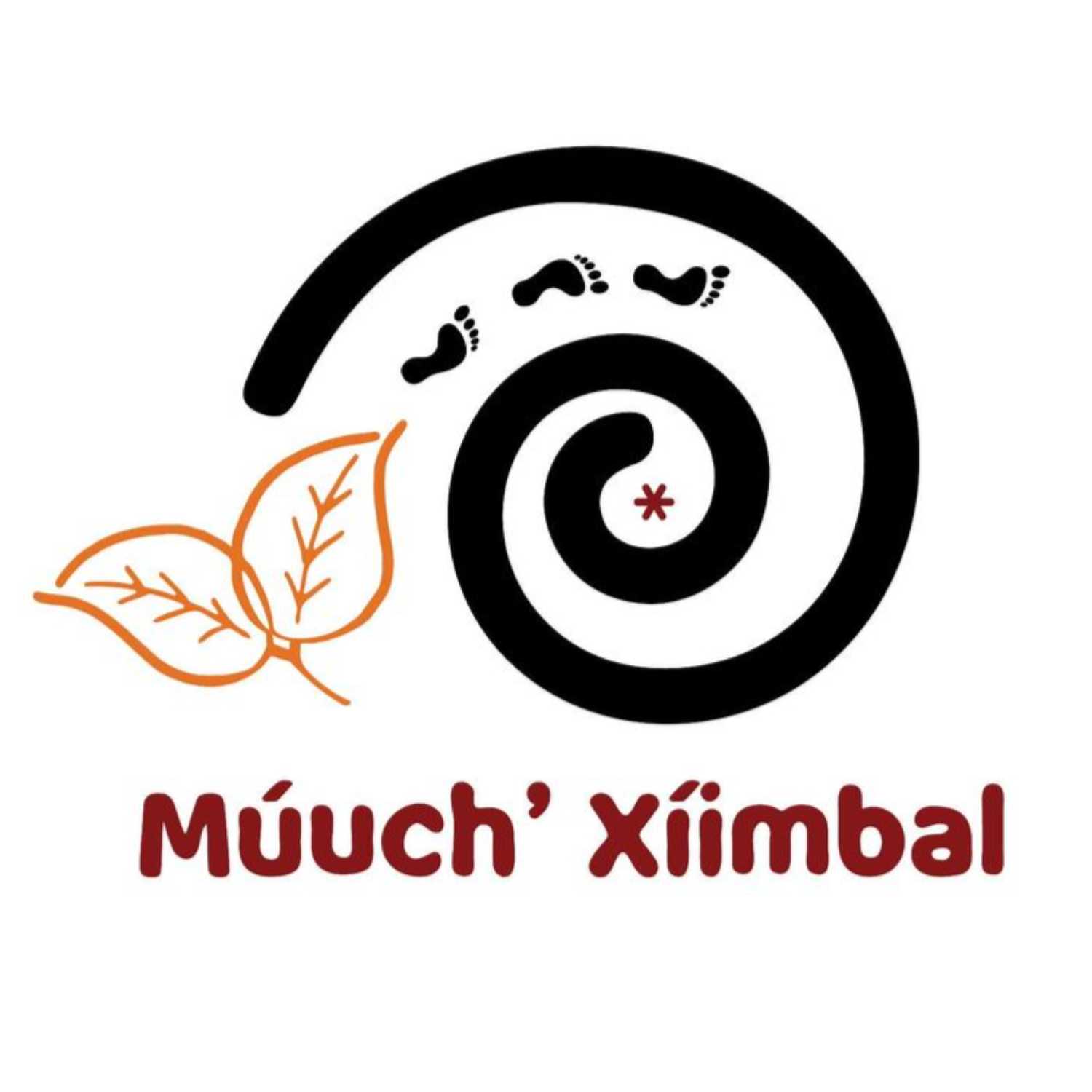 La No Radio Múuch\' Xíinbal