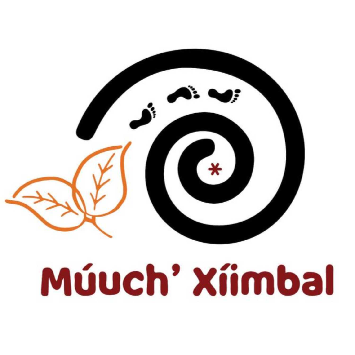 La No Radio Múuch\' Xíinbal