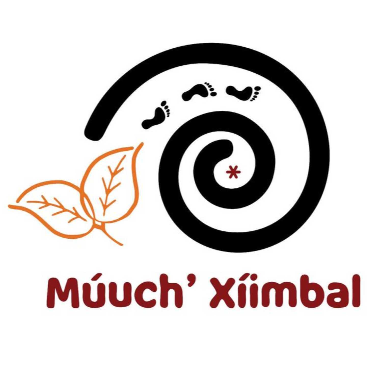 La No Radio Múuch\' Xíinbal