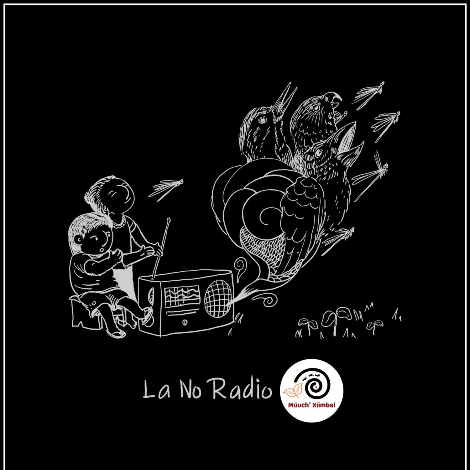 La No Radio Múuch\' Xíinbal