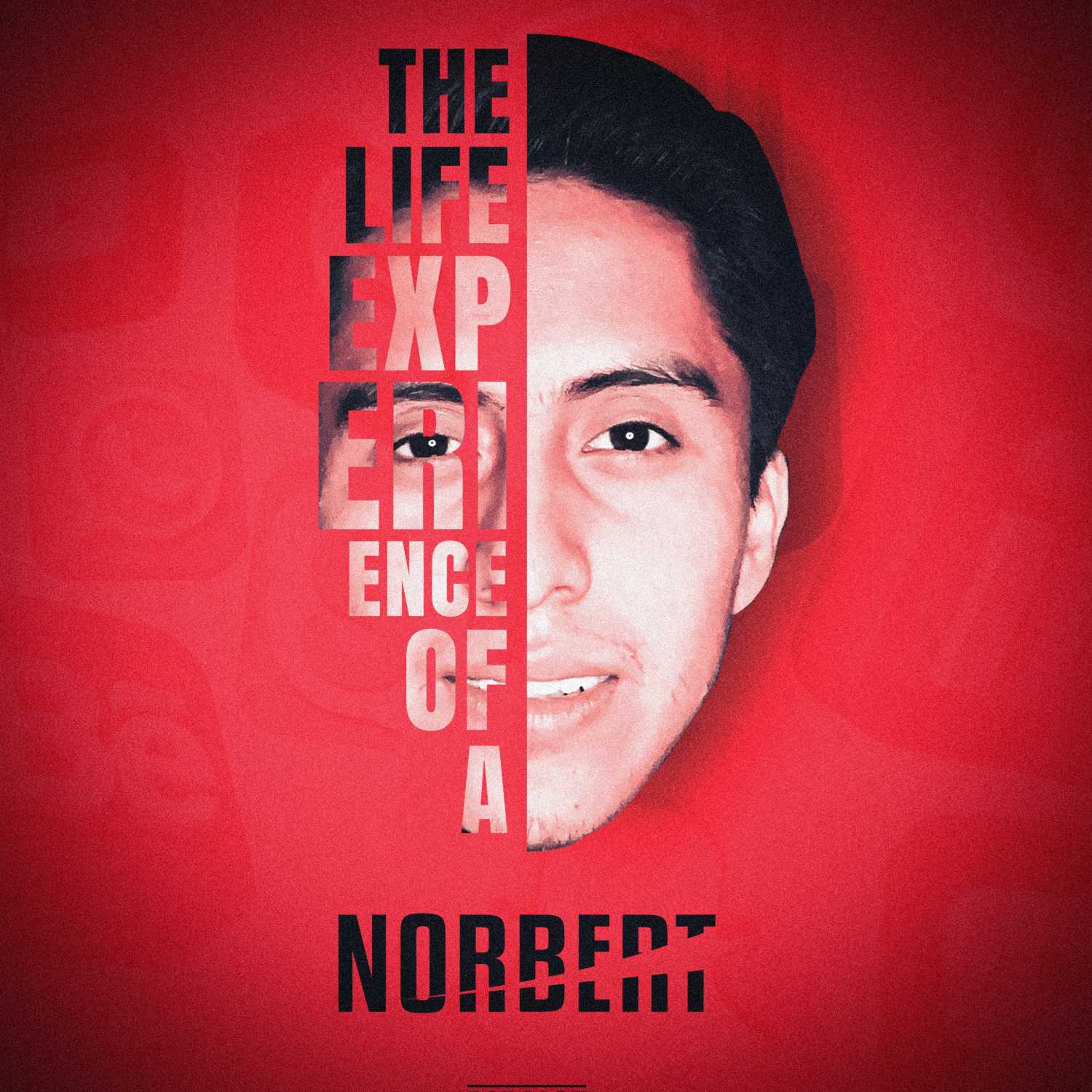 The Life Experience of a Norbert