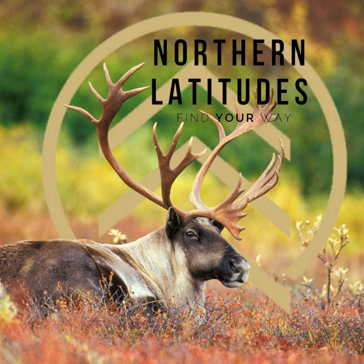 Northern Latitudes