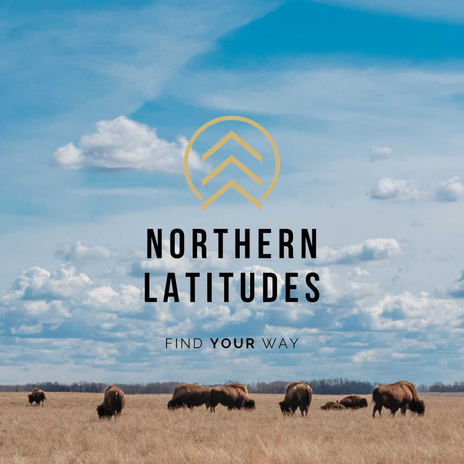 Northern Latitudes