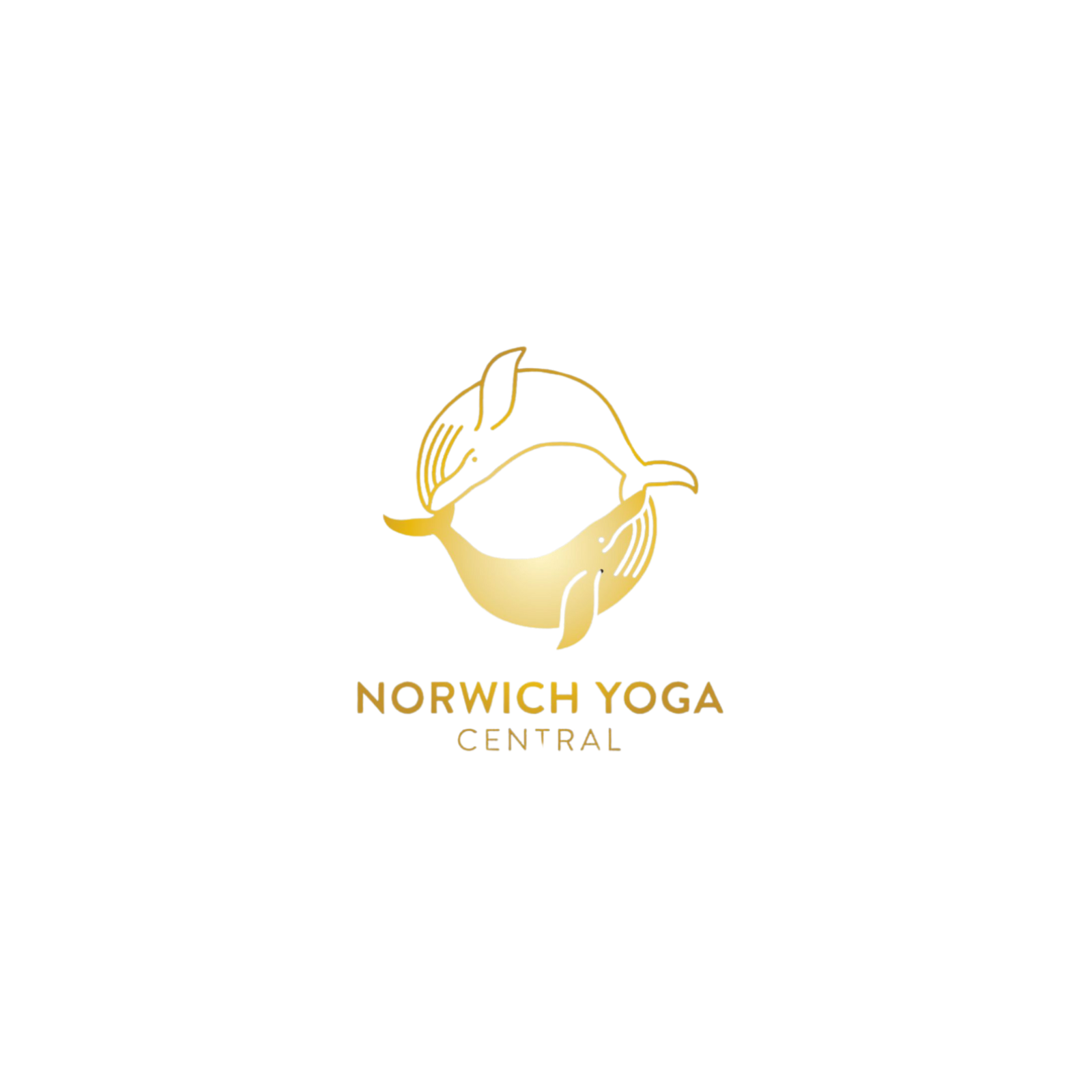 Norwich Yoga Central 