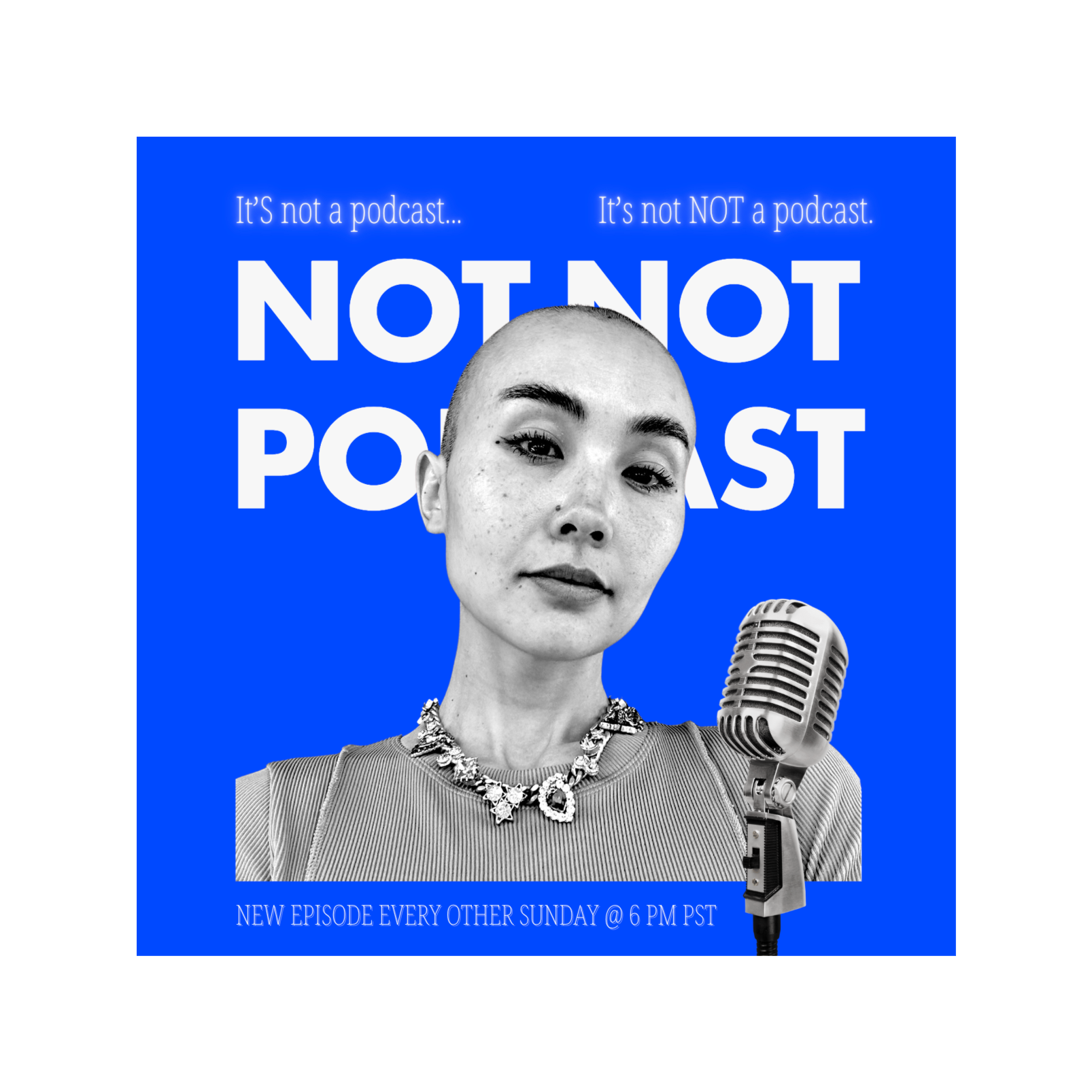 Not (Not) Podcast