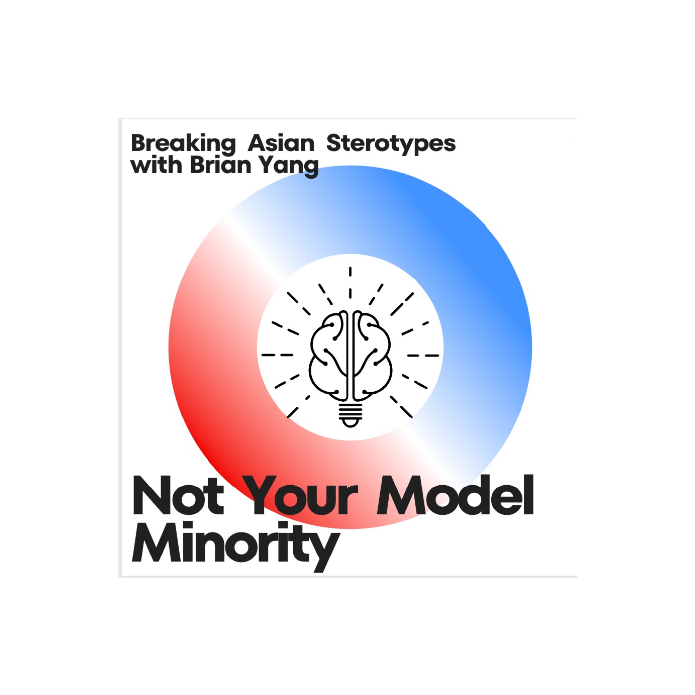 Not the Model Minority