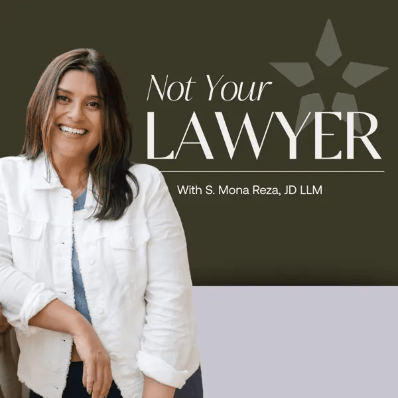 Not Your Lawyer podcast artwork