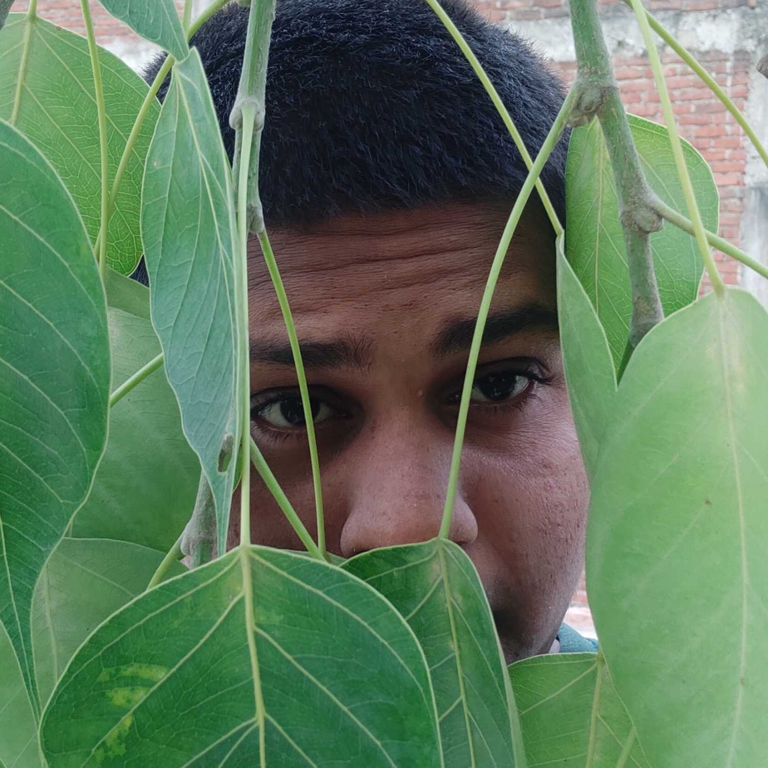 Know more about elon musk(:_