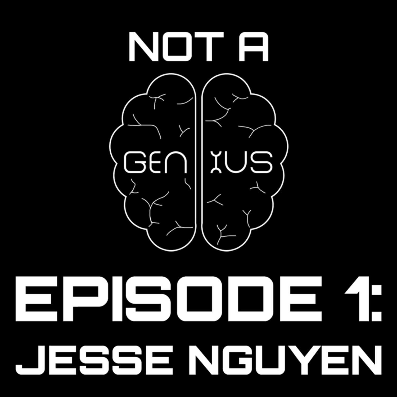 Not a Genius Podcast