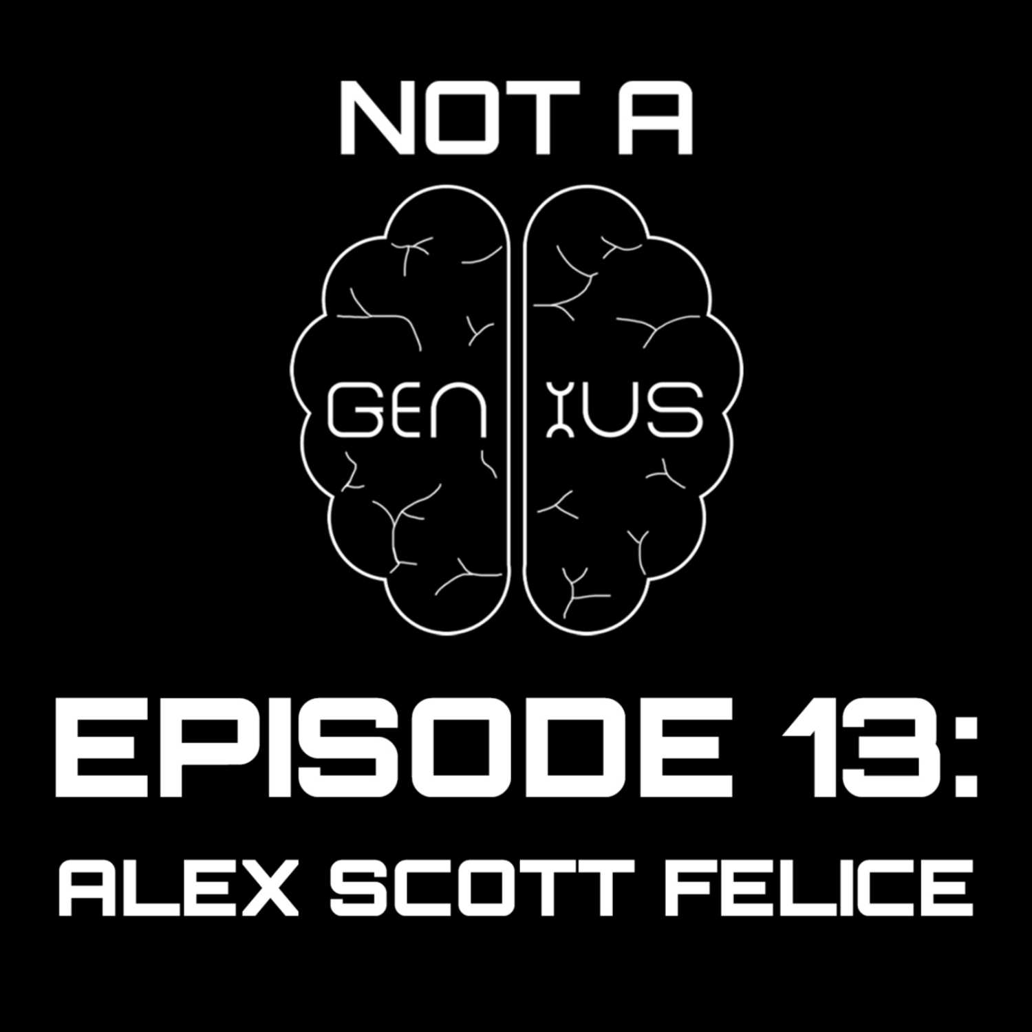 Not a Genius Podcast