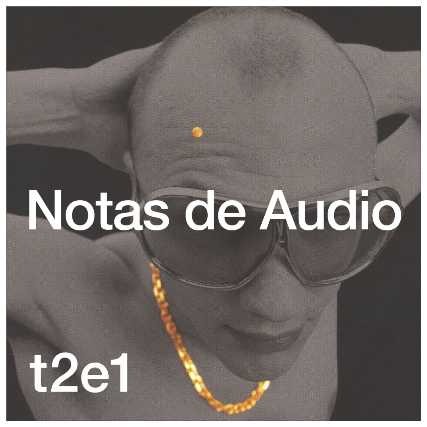 Notas de Audio