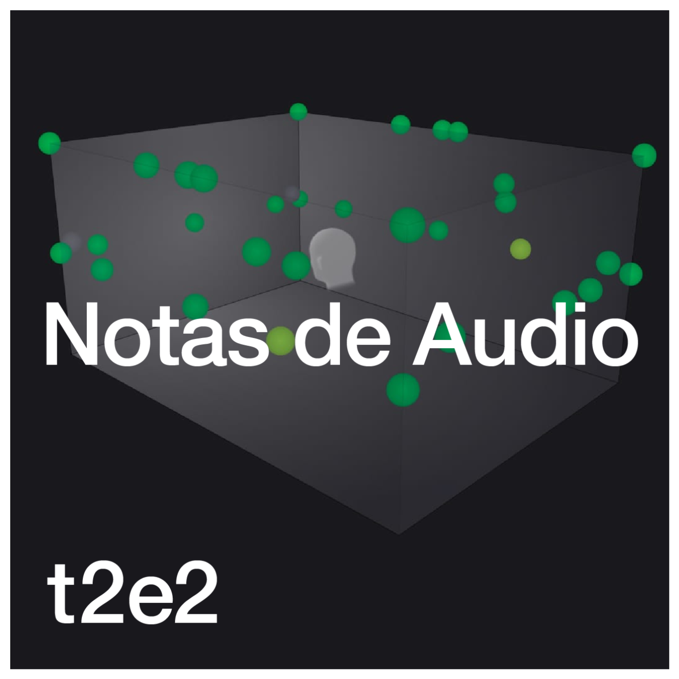 Notas de Audio