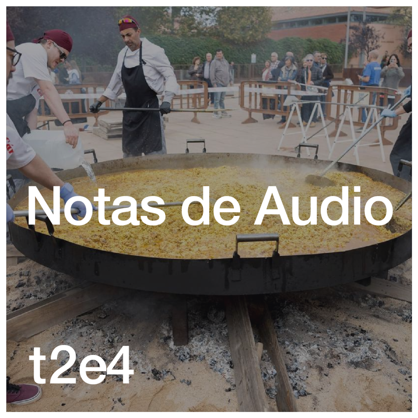 Notas de Audio