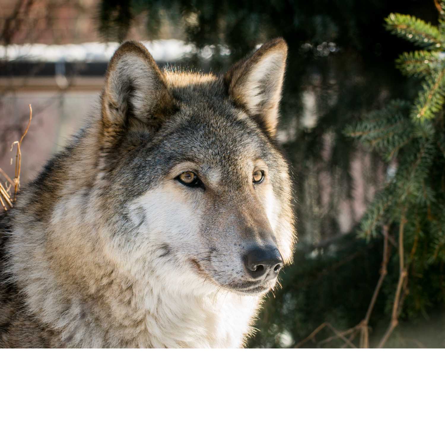 Dream Interpretation#1 Dream Interpretation#1