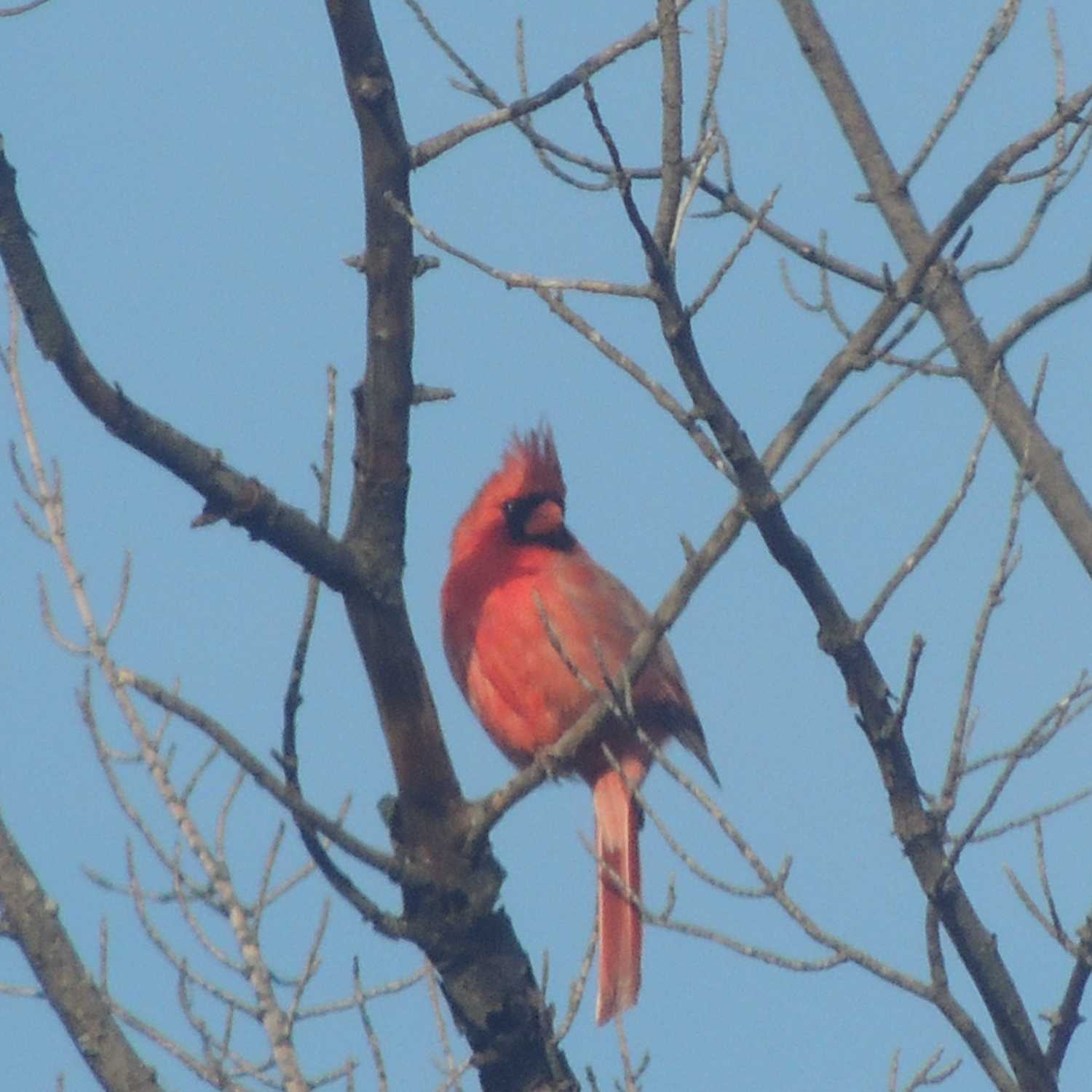A Prayer for the Weary A Prayer for the Weary