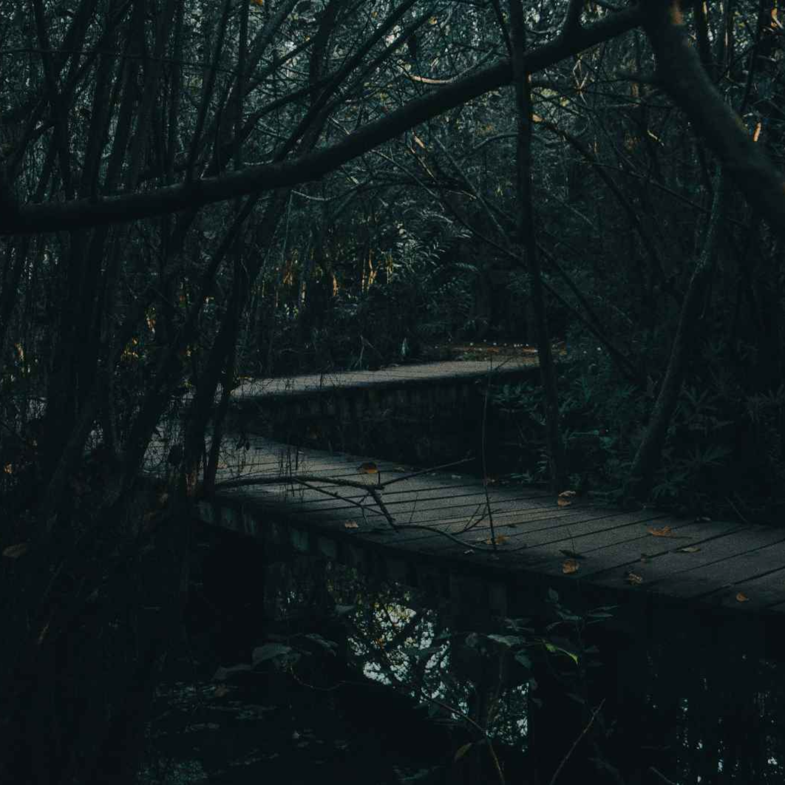 Welcome To Hollow Creek