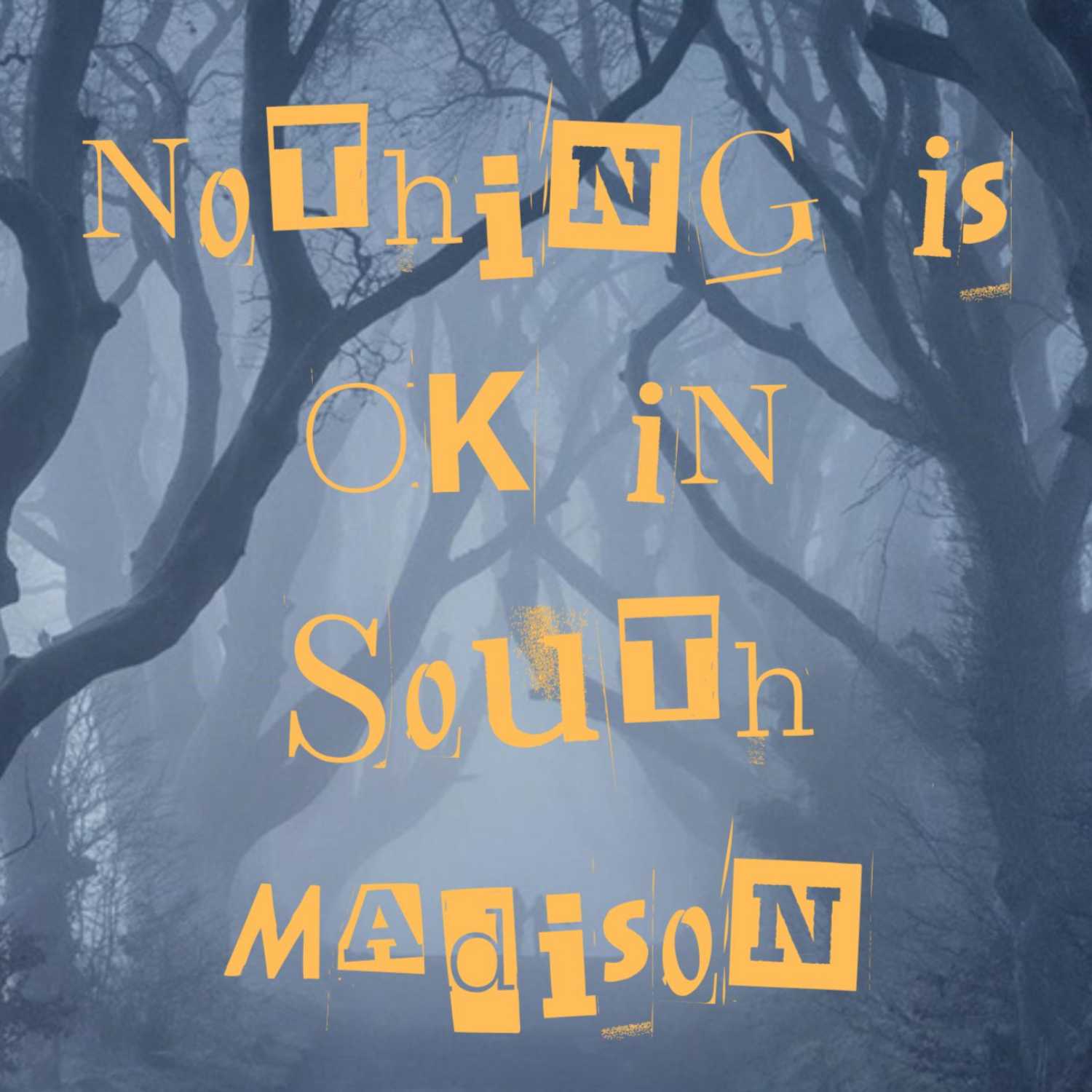 Nothing Is Ok In South Madison podcast artwork