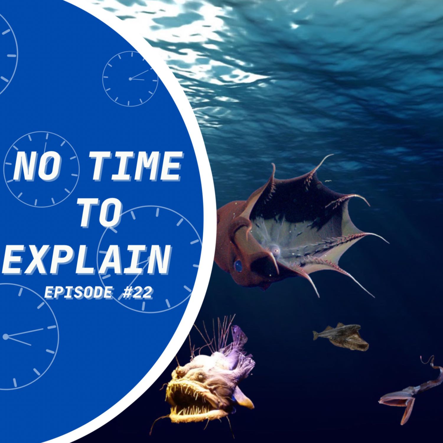 No Time To Explain