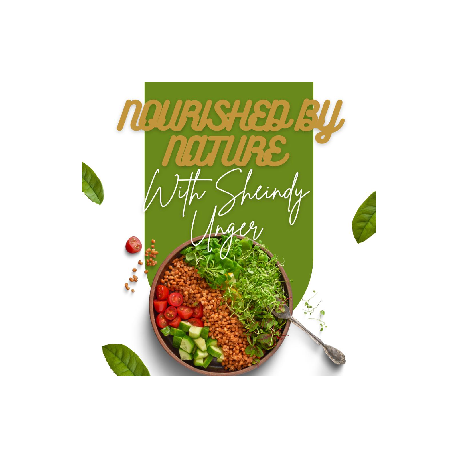 Nourished by Sheindy podcast artwork