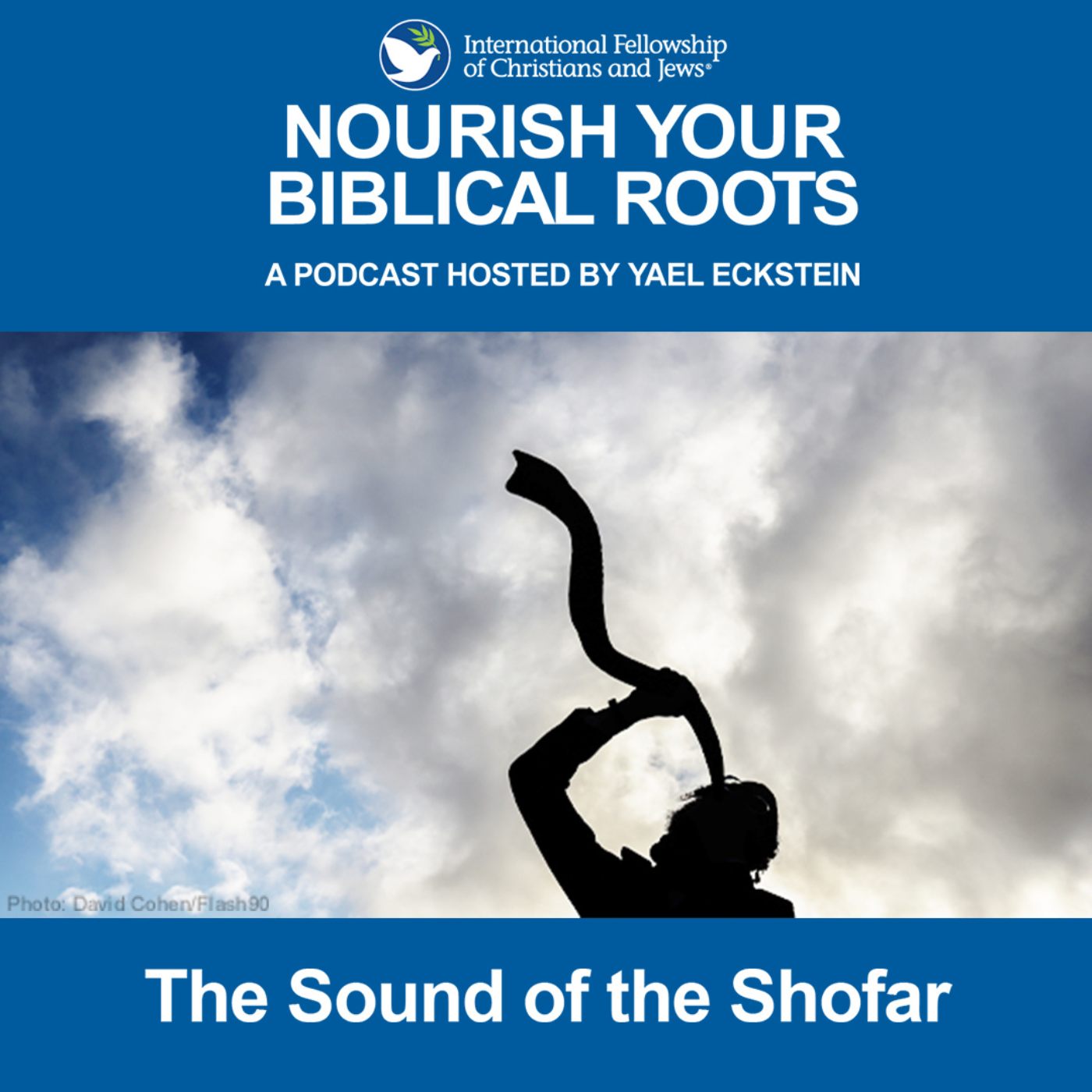 Nourish Your Biblical Roots with Yael Eckstein